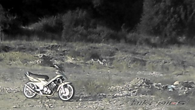 Photo 2262534