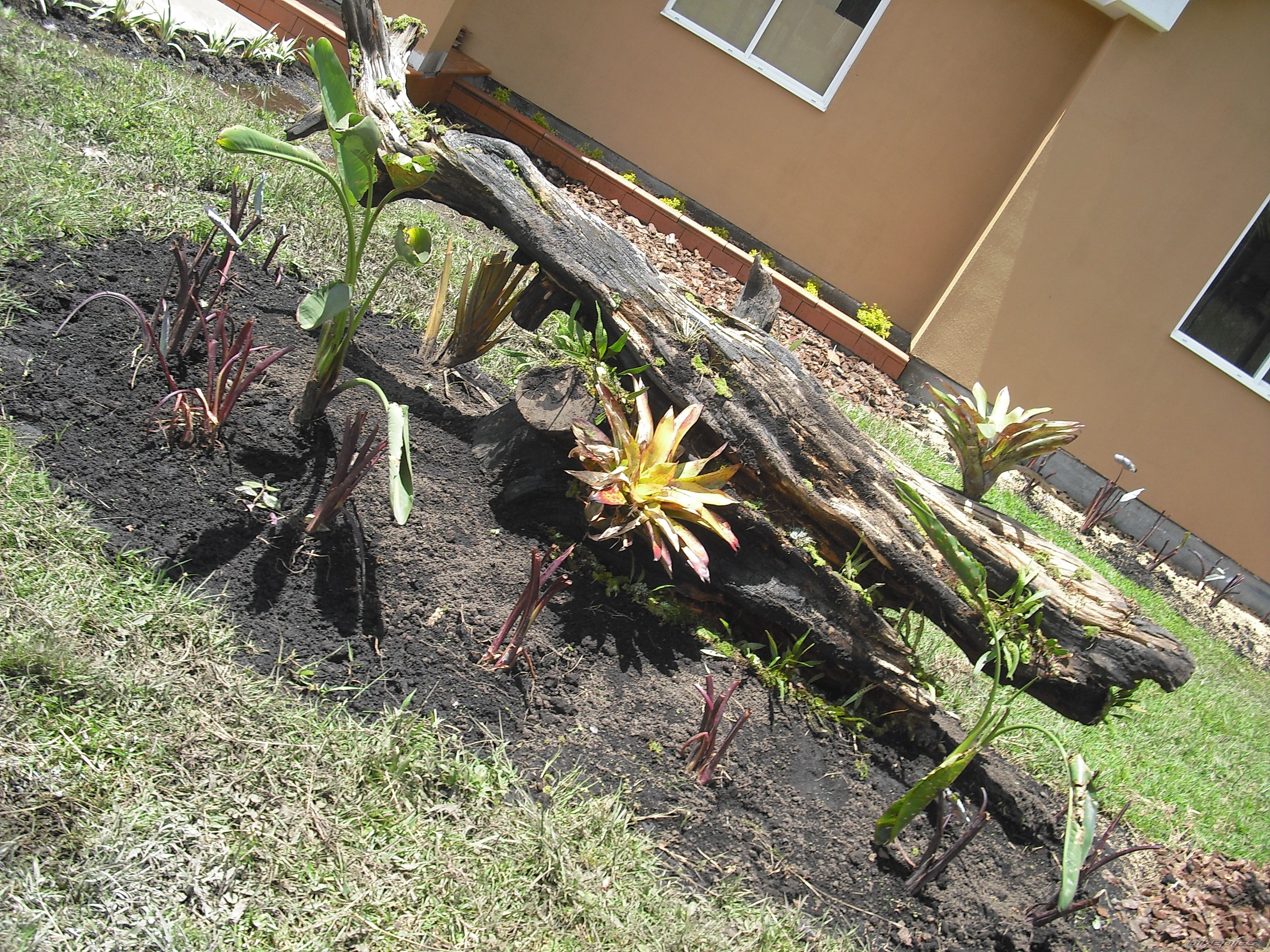 Photo 2262640