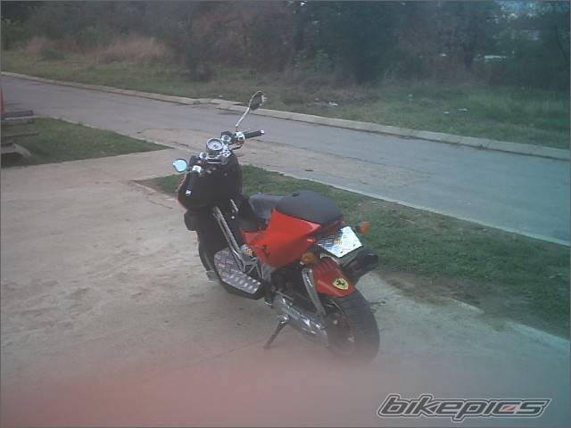 Photo 226266