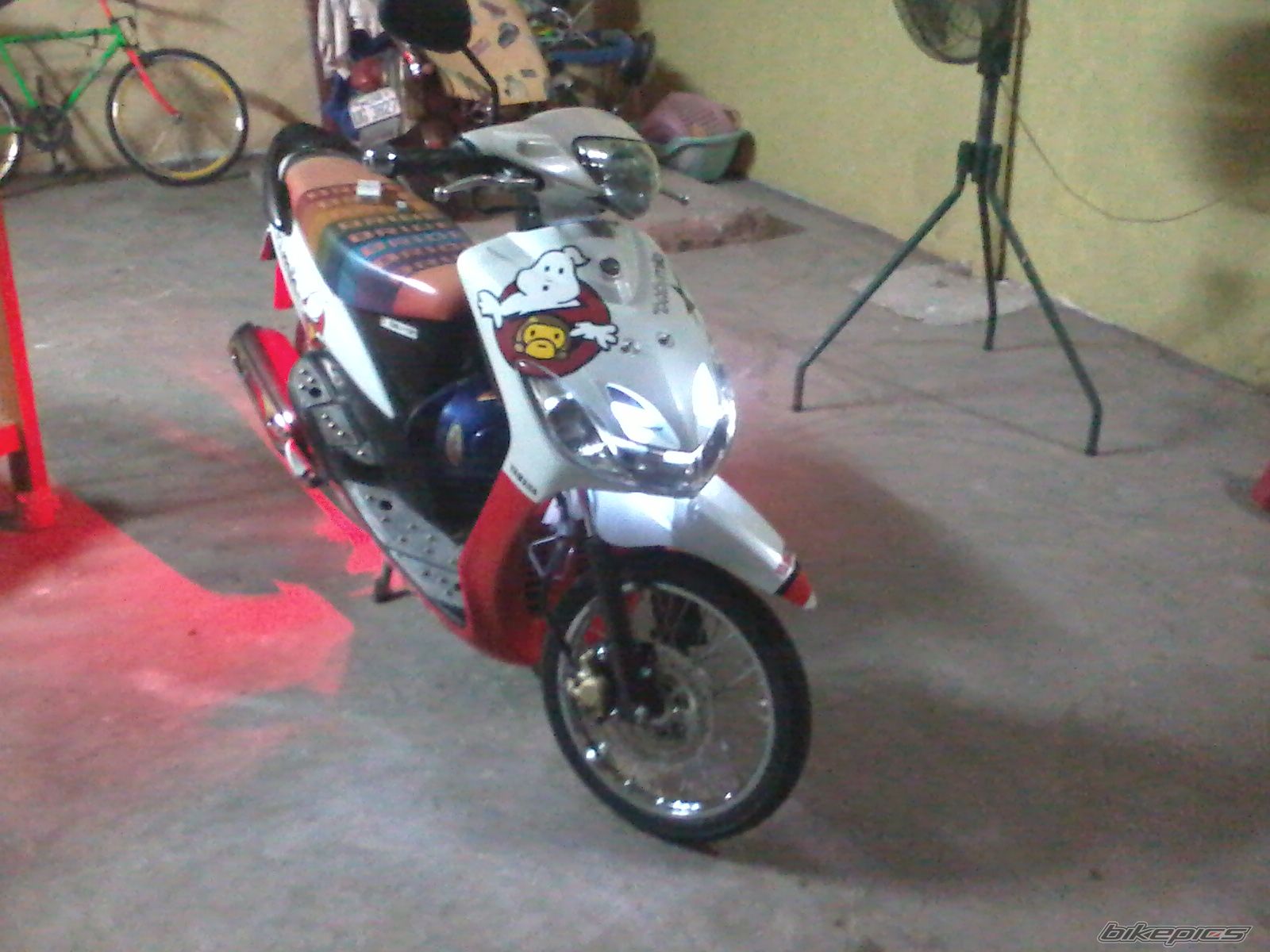 Photo 2262768