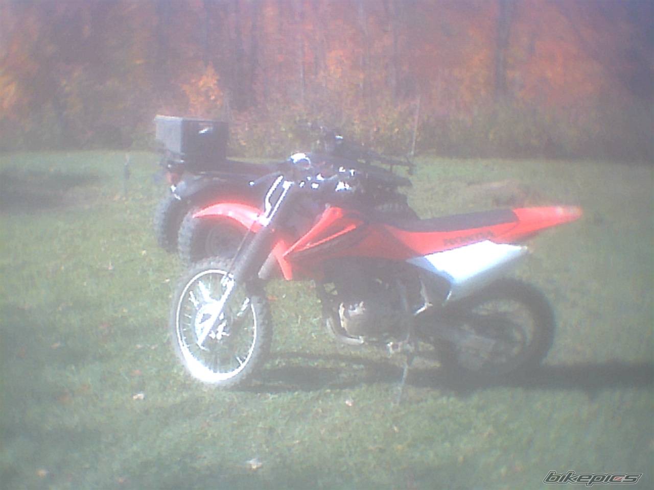 Bike Photo 226290