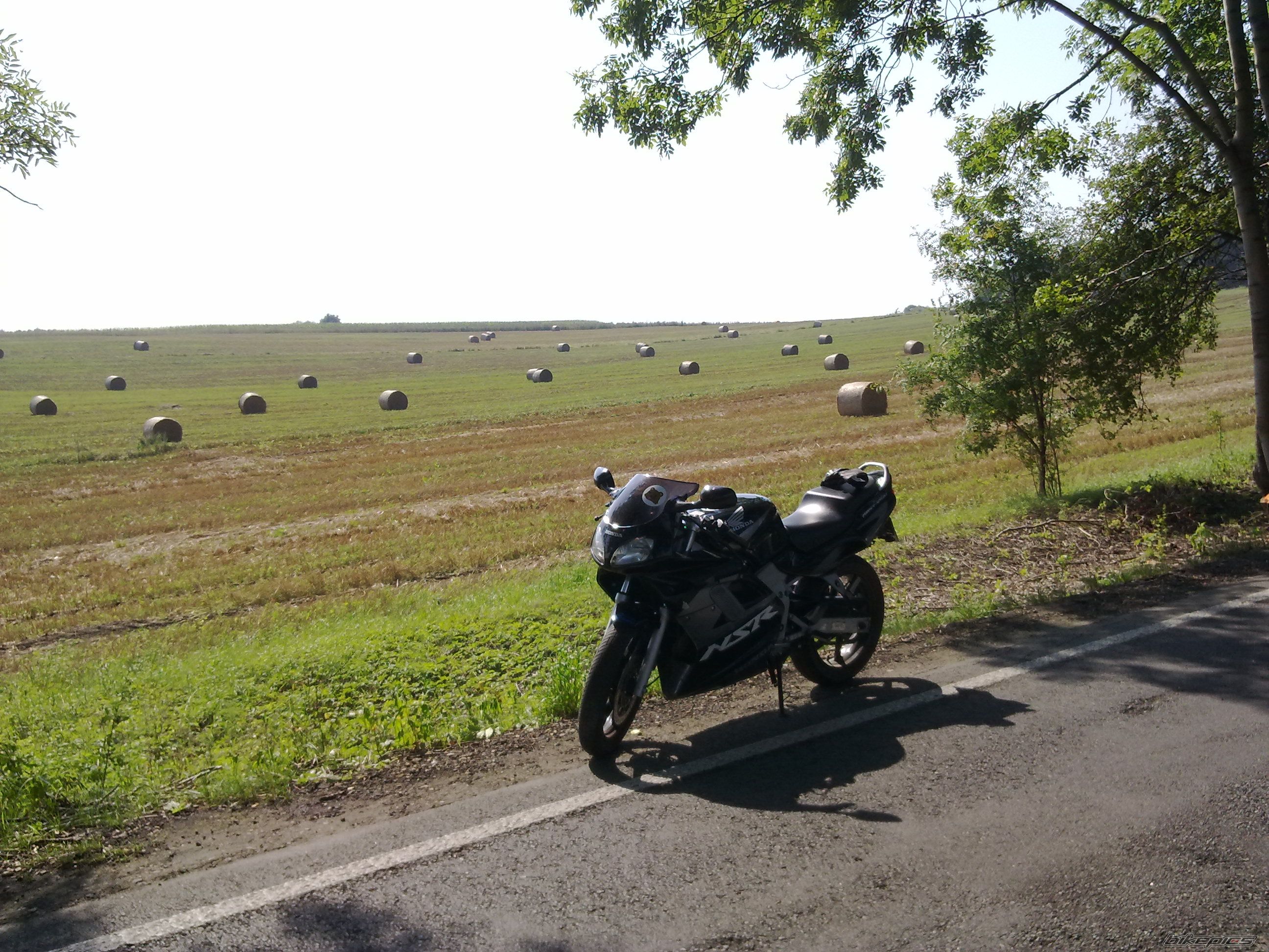 Photo 2262916