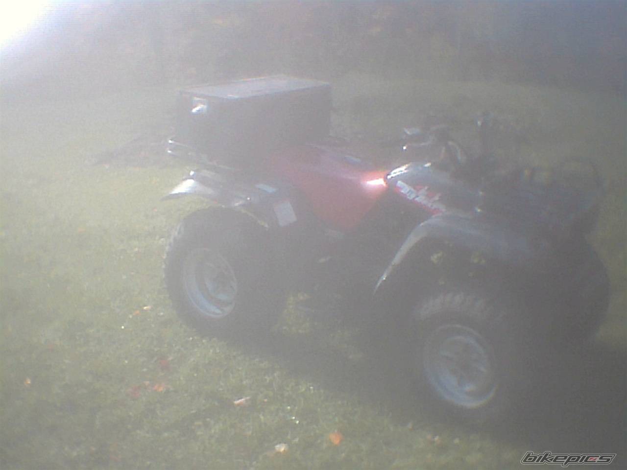 Photo 226297