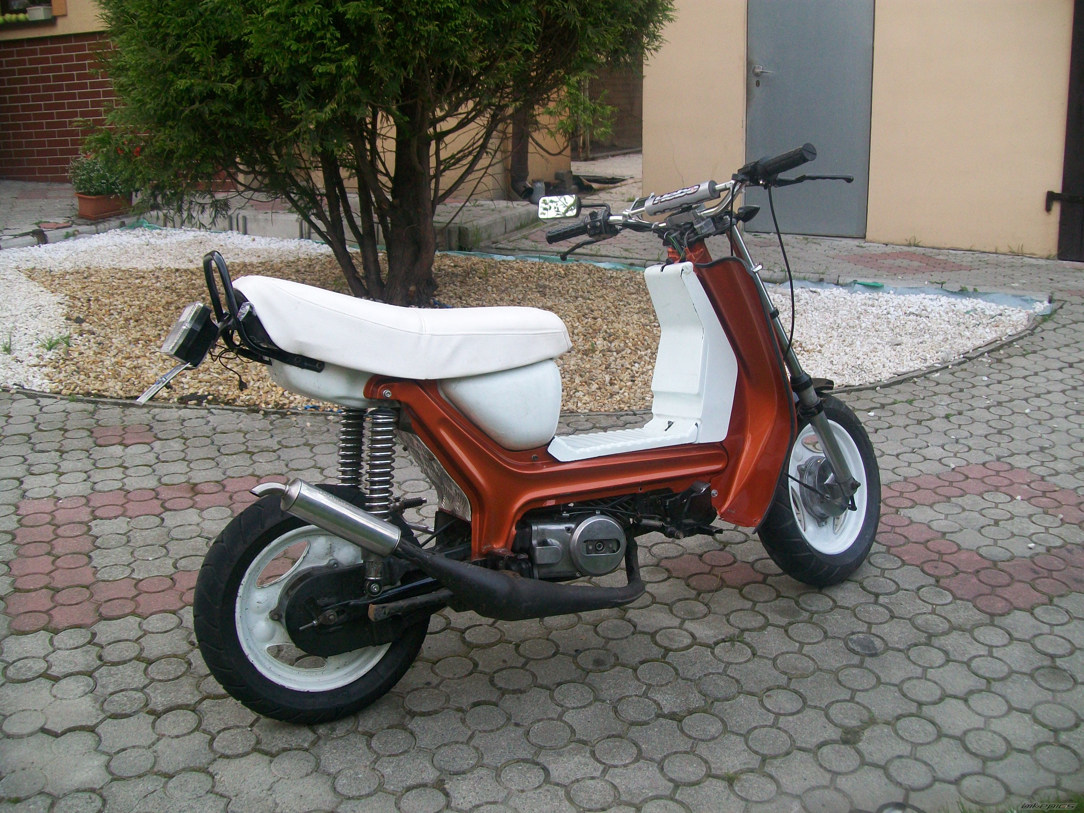 Photo 2263046