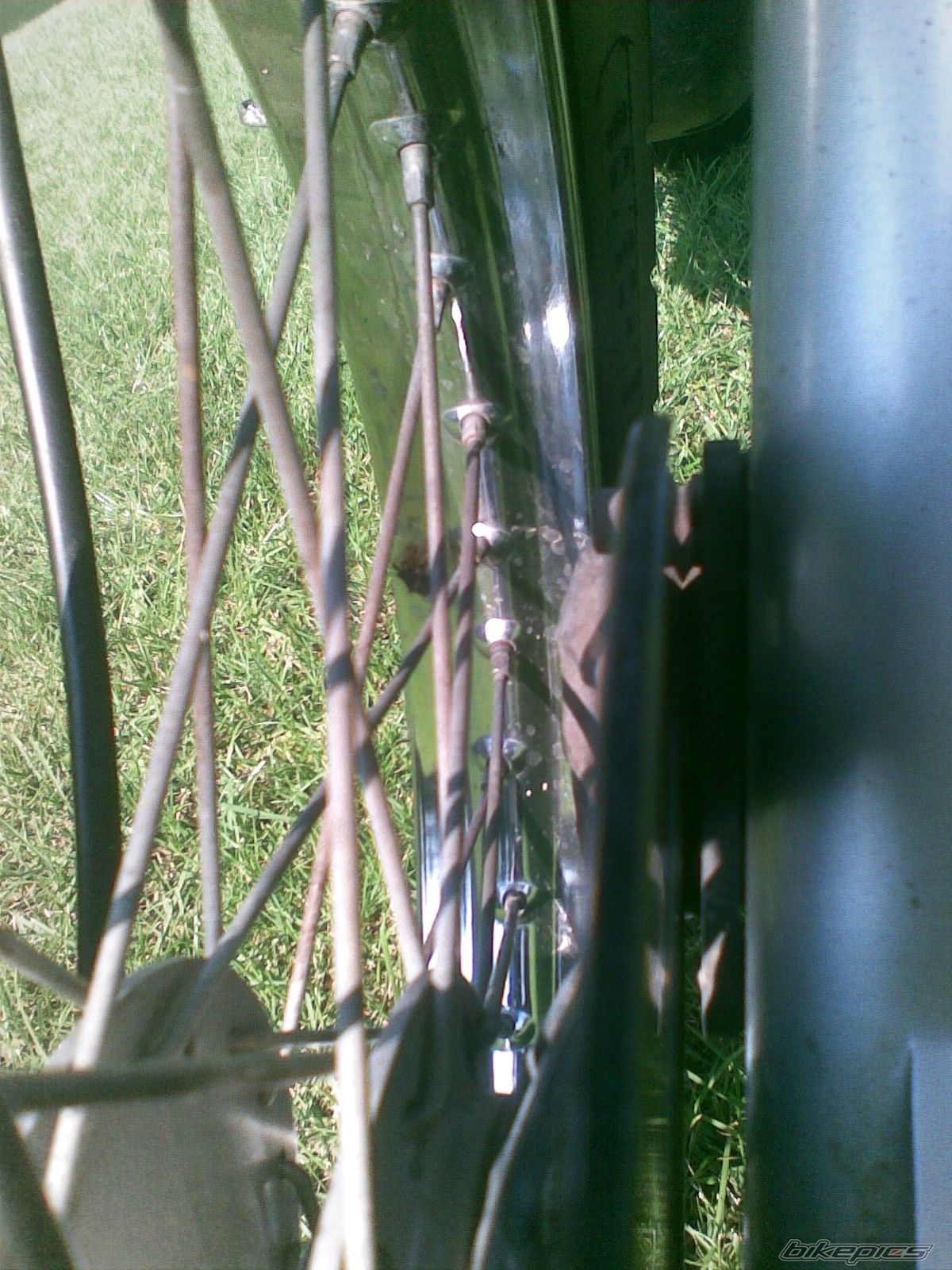 Photo 2263055