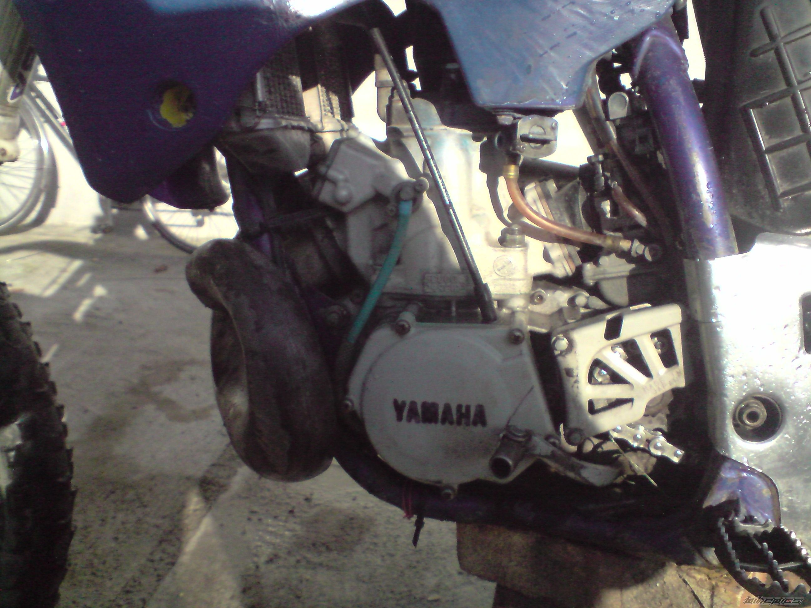 Photo 2263205