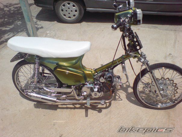 Photo 2263234