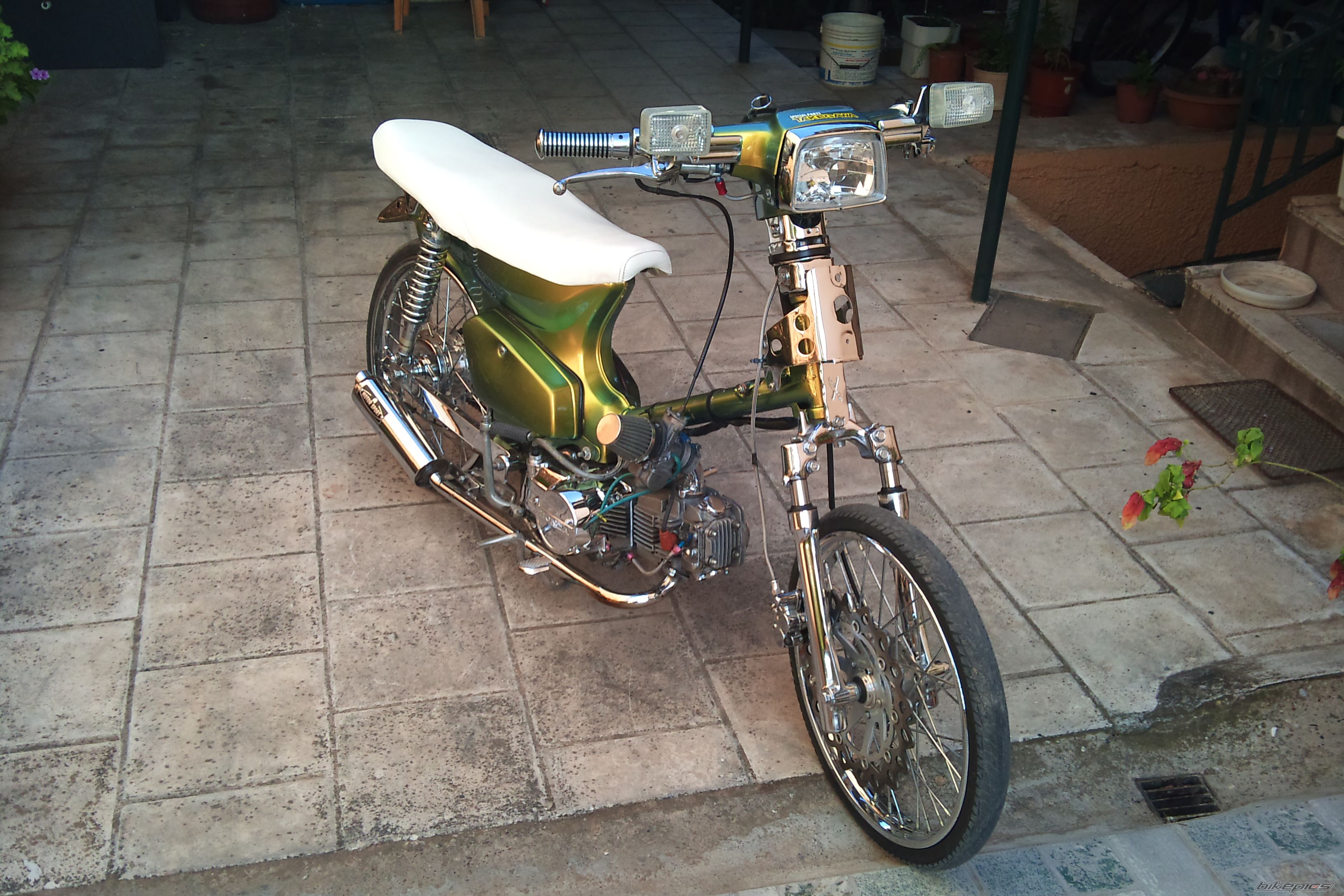 Photo 2263235