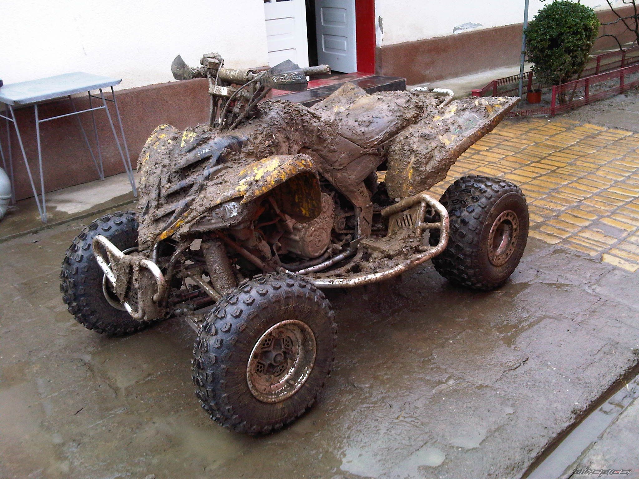 Photo 2263299