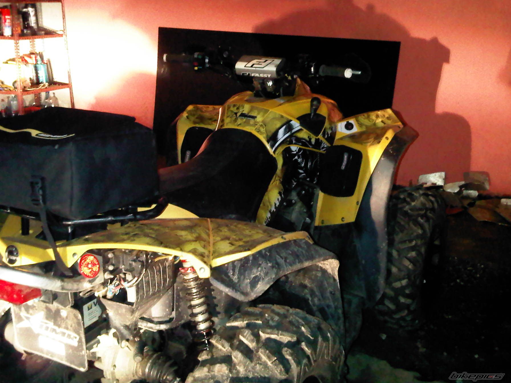 Photo 2263337