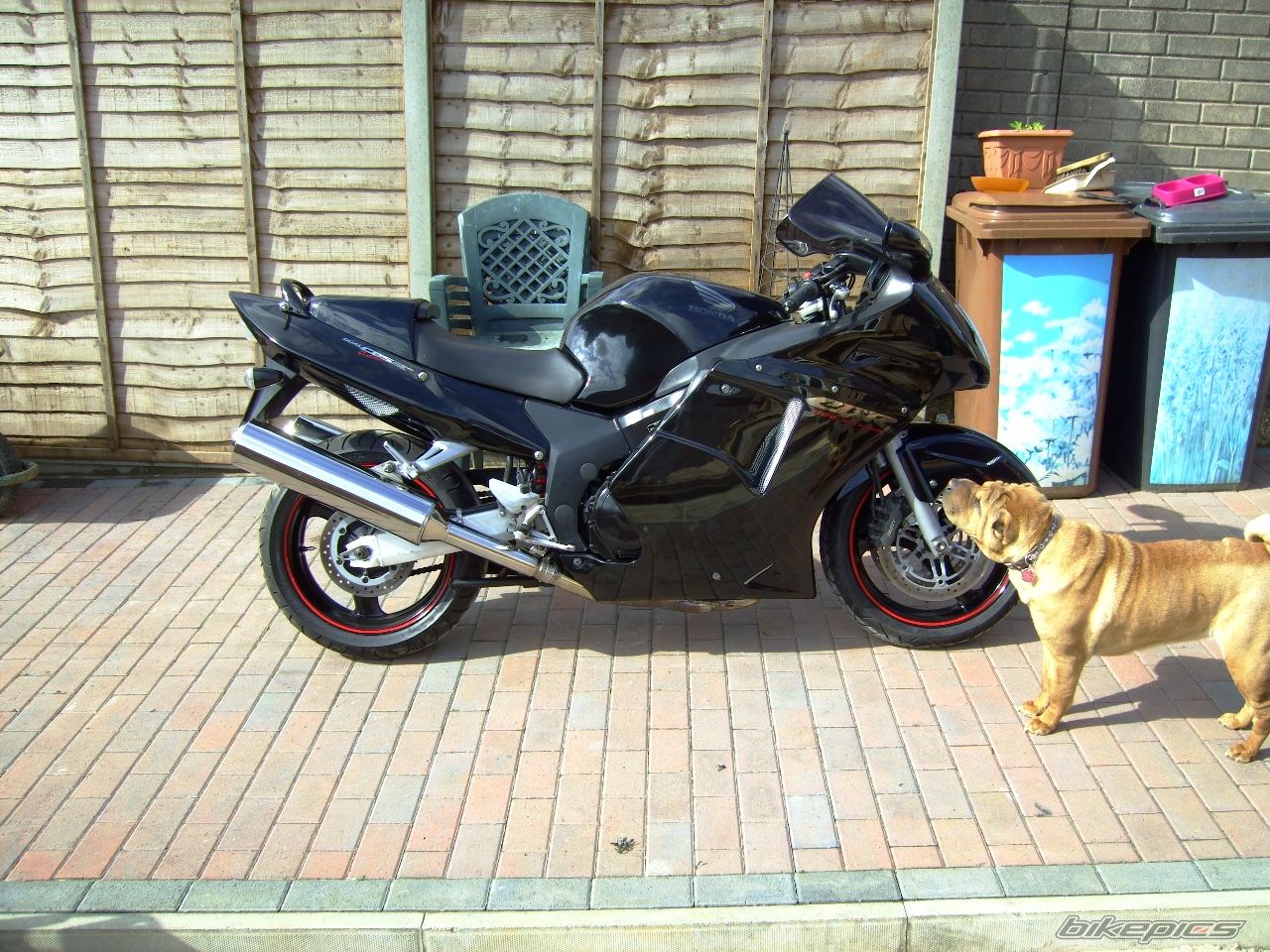 Bike Photo 2263374