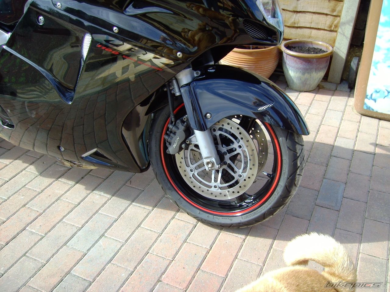 Bike Photo 2263376
