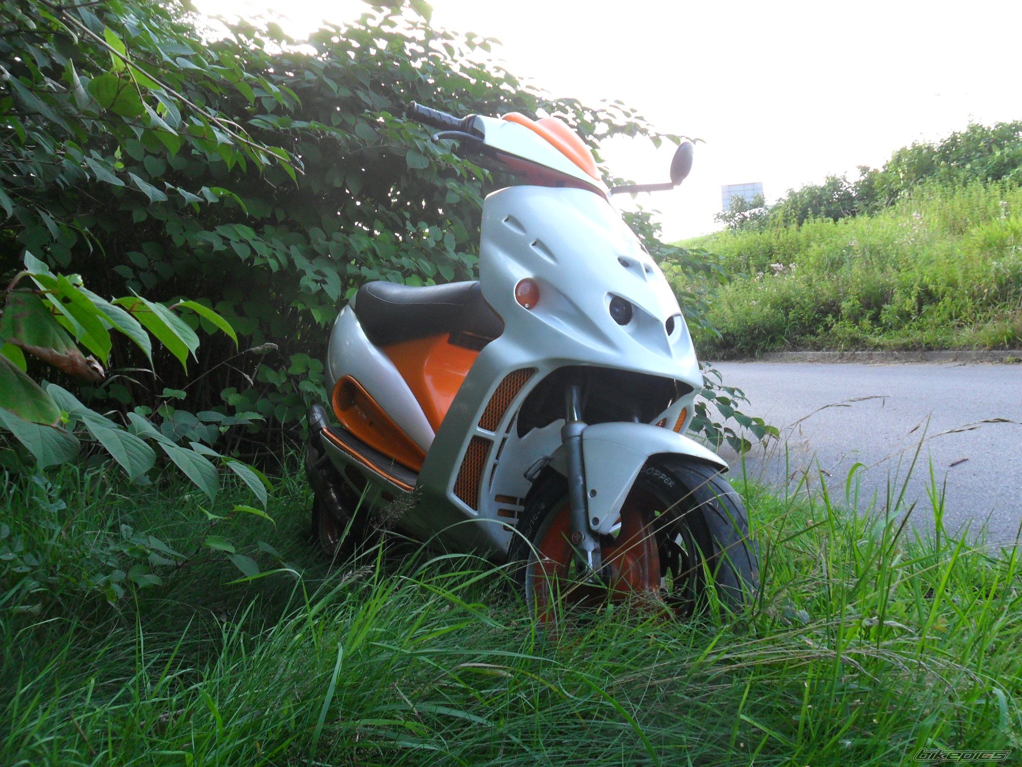 Photo 2263387