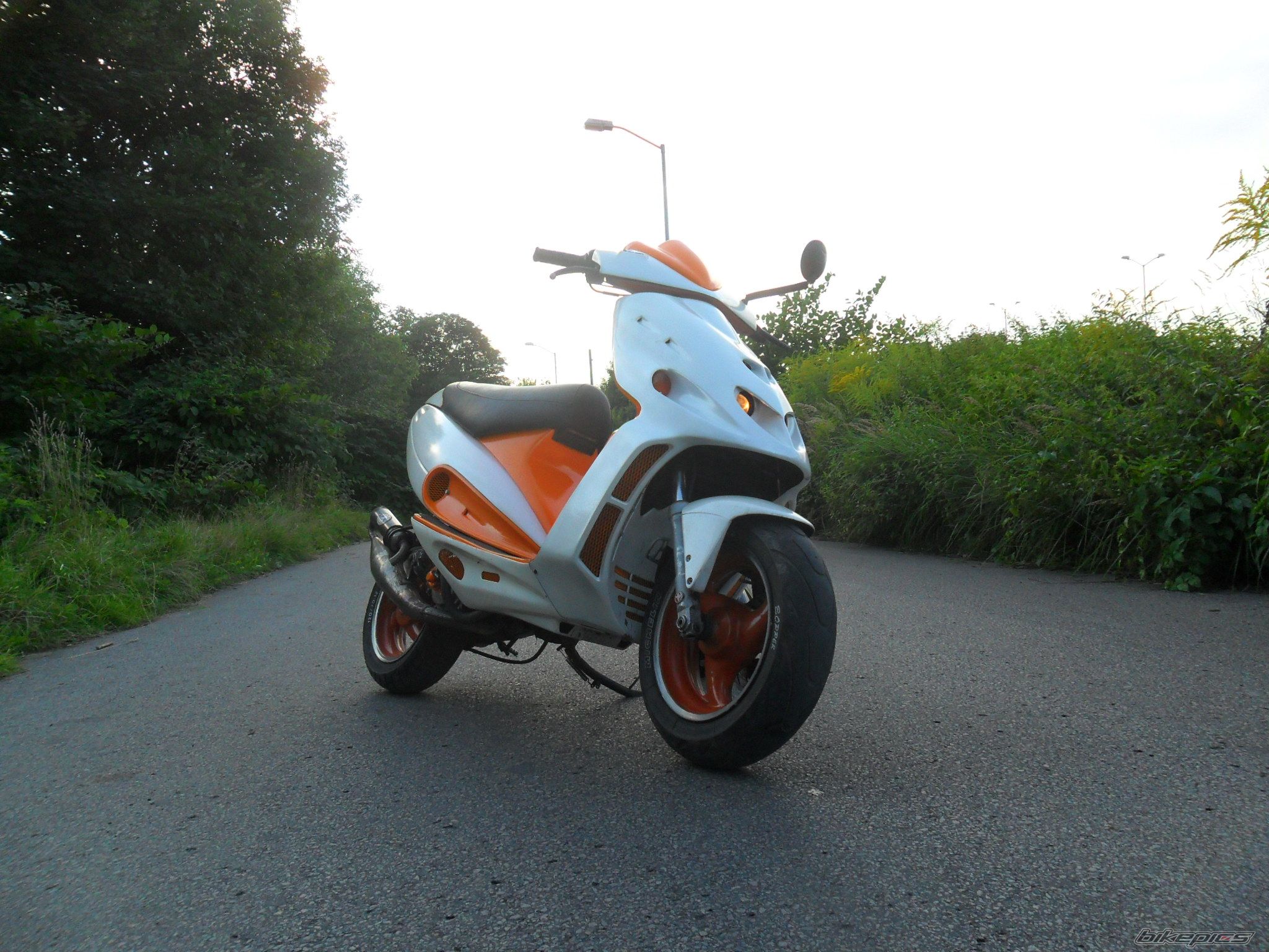 Photo 2263389