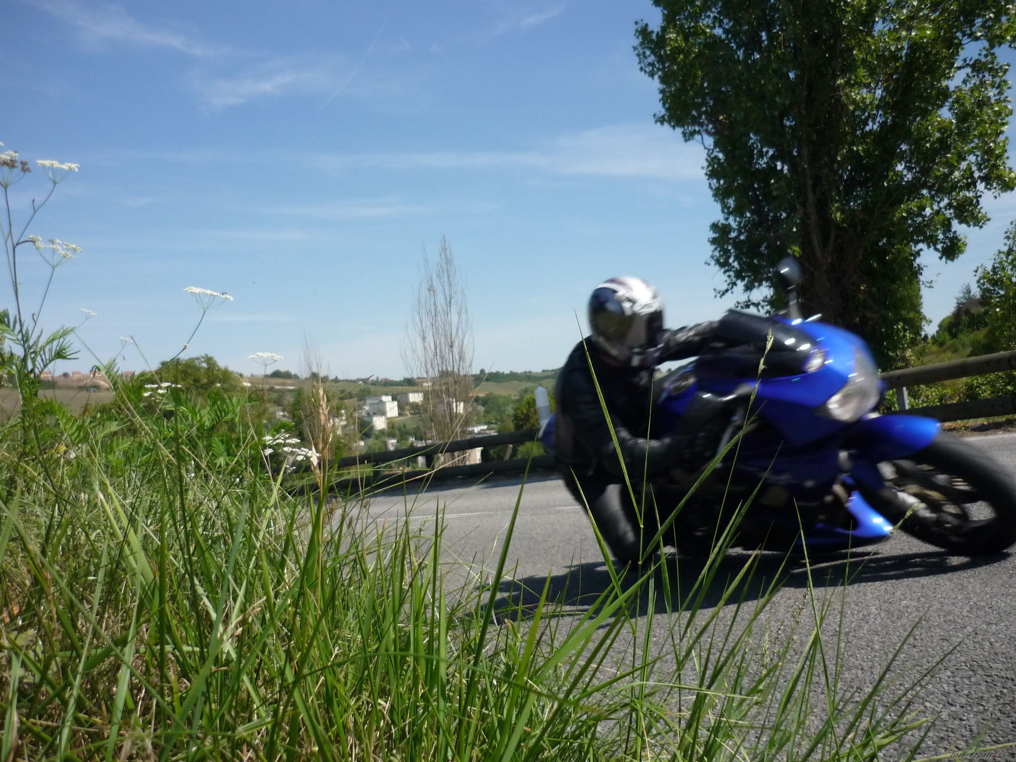 Photo 2263498