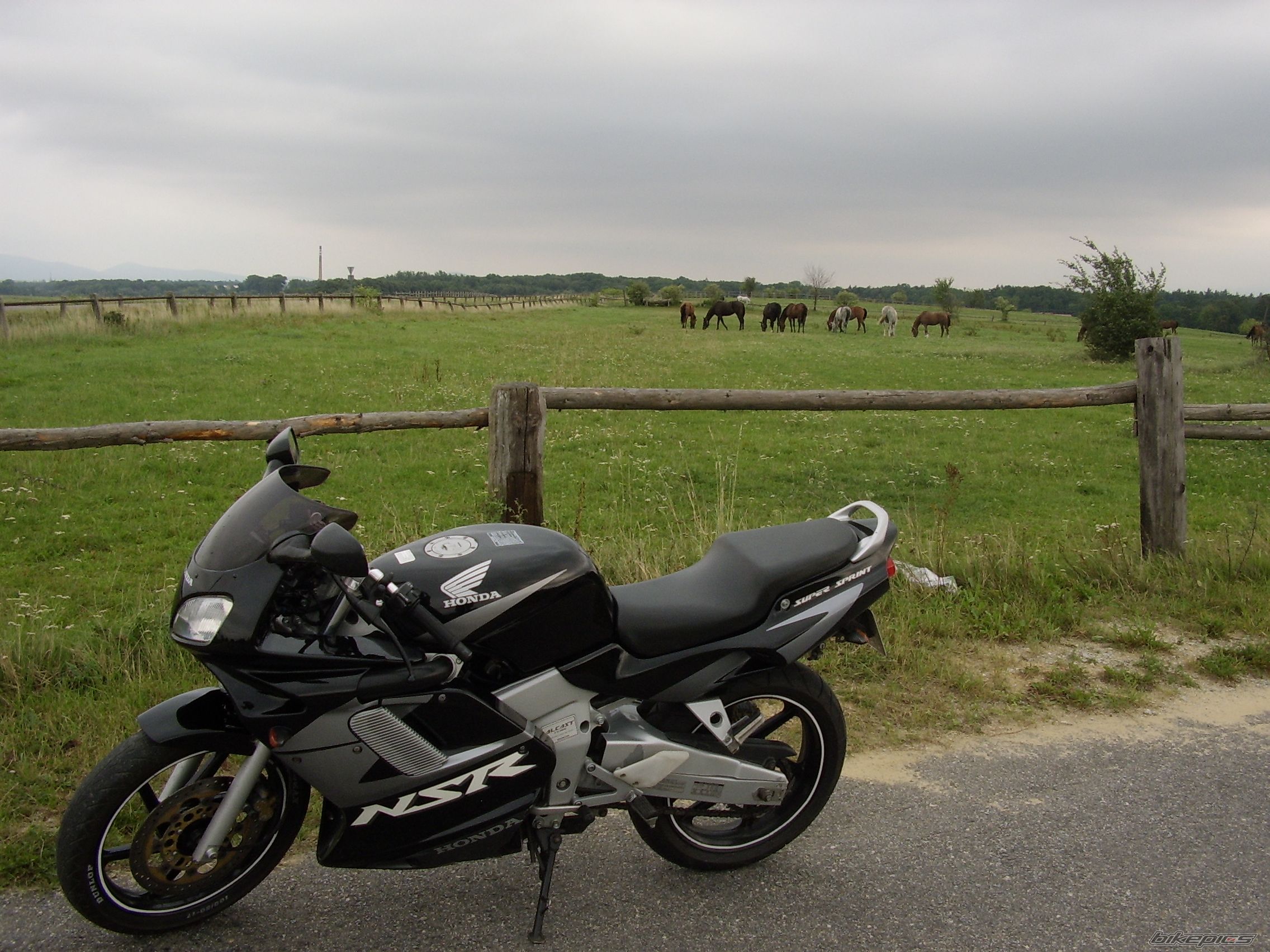 Photo 2263537