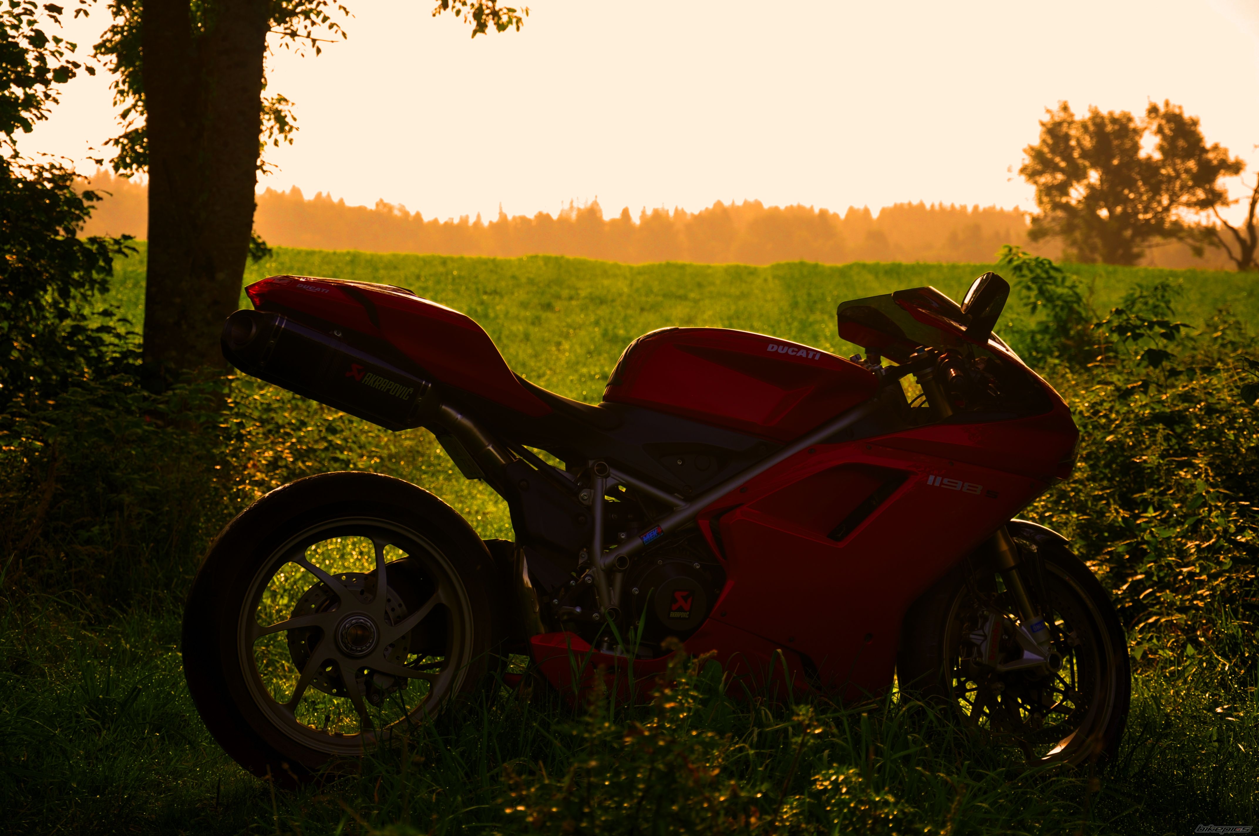 Photo 2263542