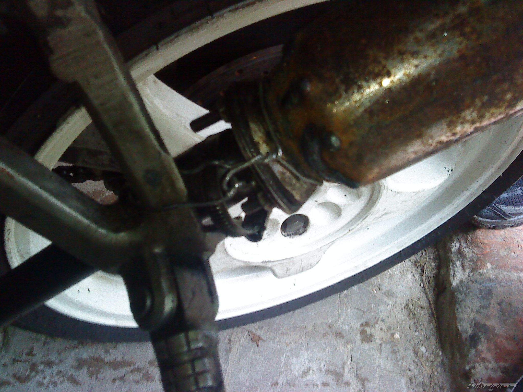 Photo 2263585