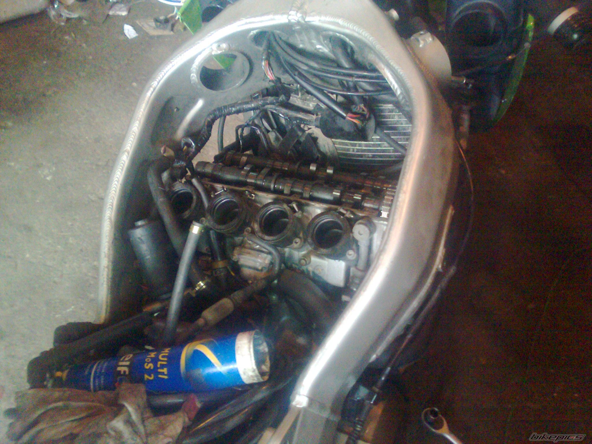 Photo 2263595