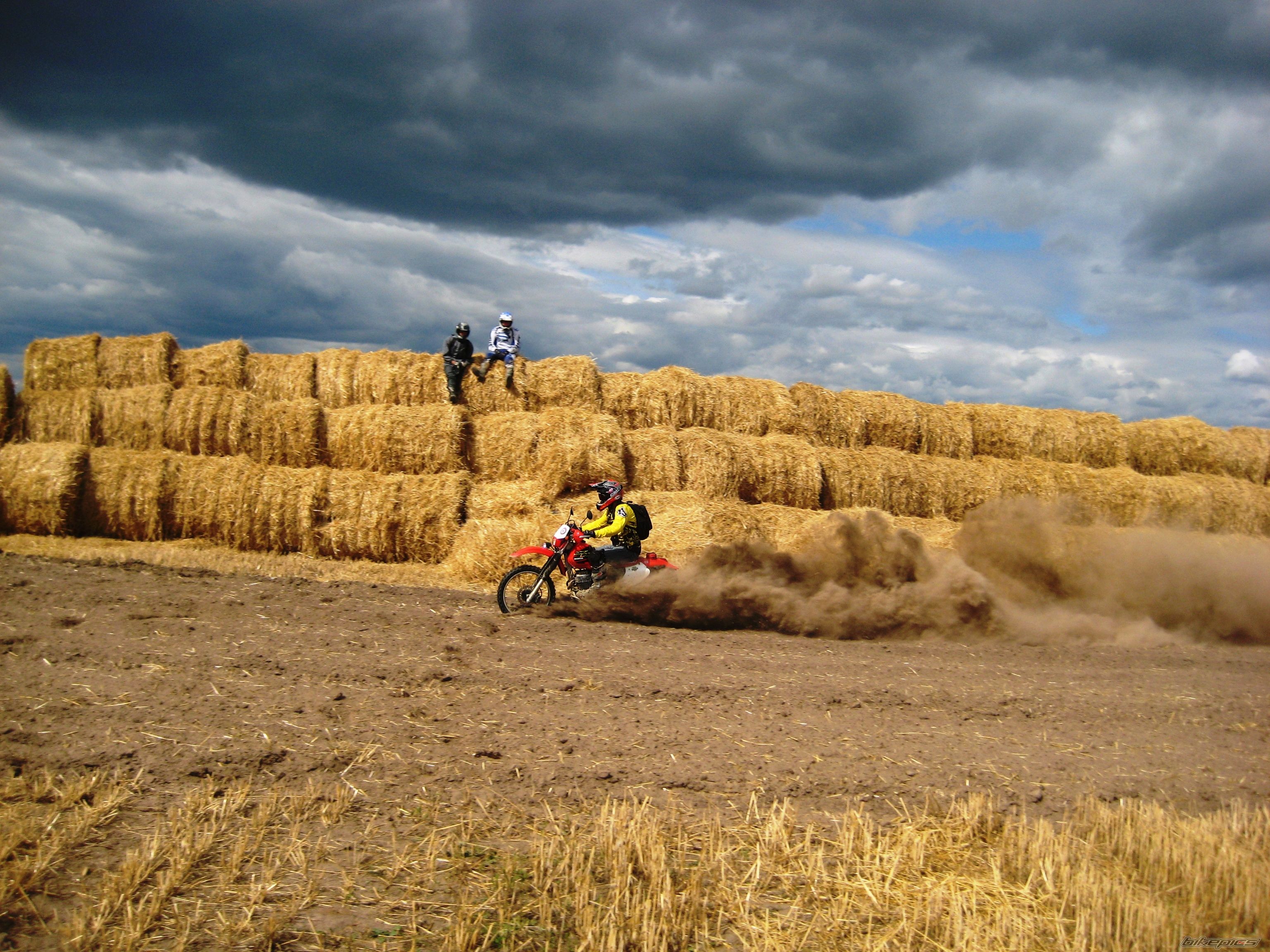 Photo 2263667