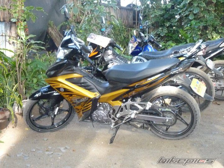 Photo 2263669