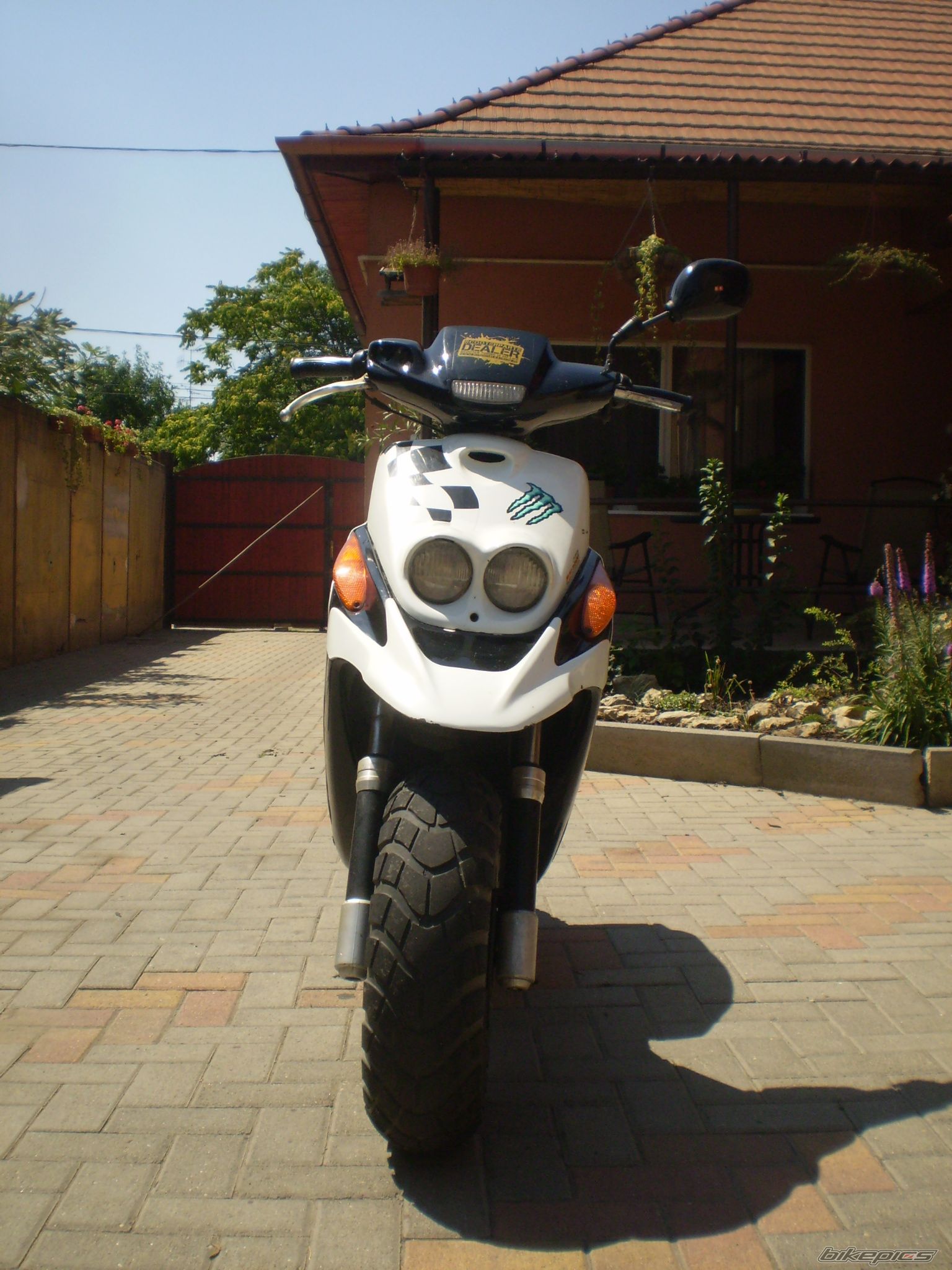 Photo 2263743