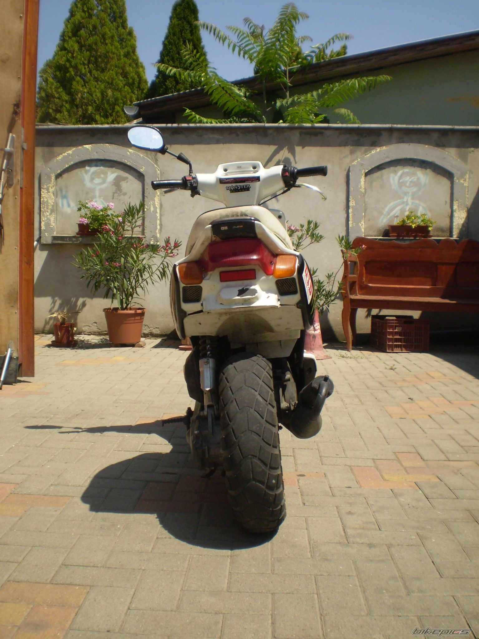 Photo 2263744