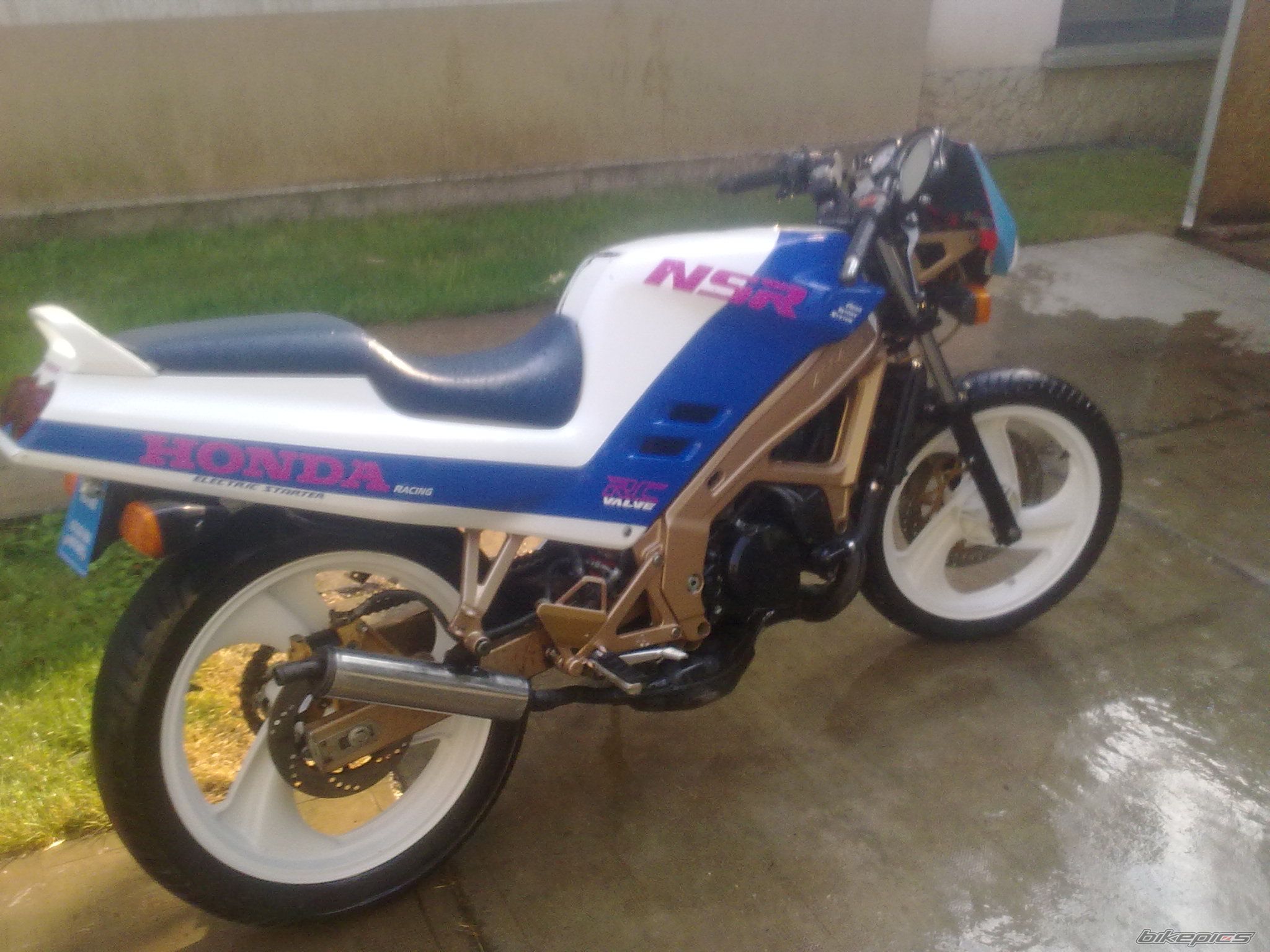 Photo 2263751