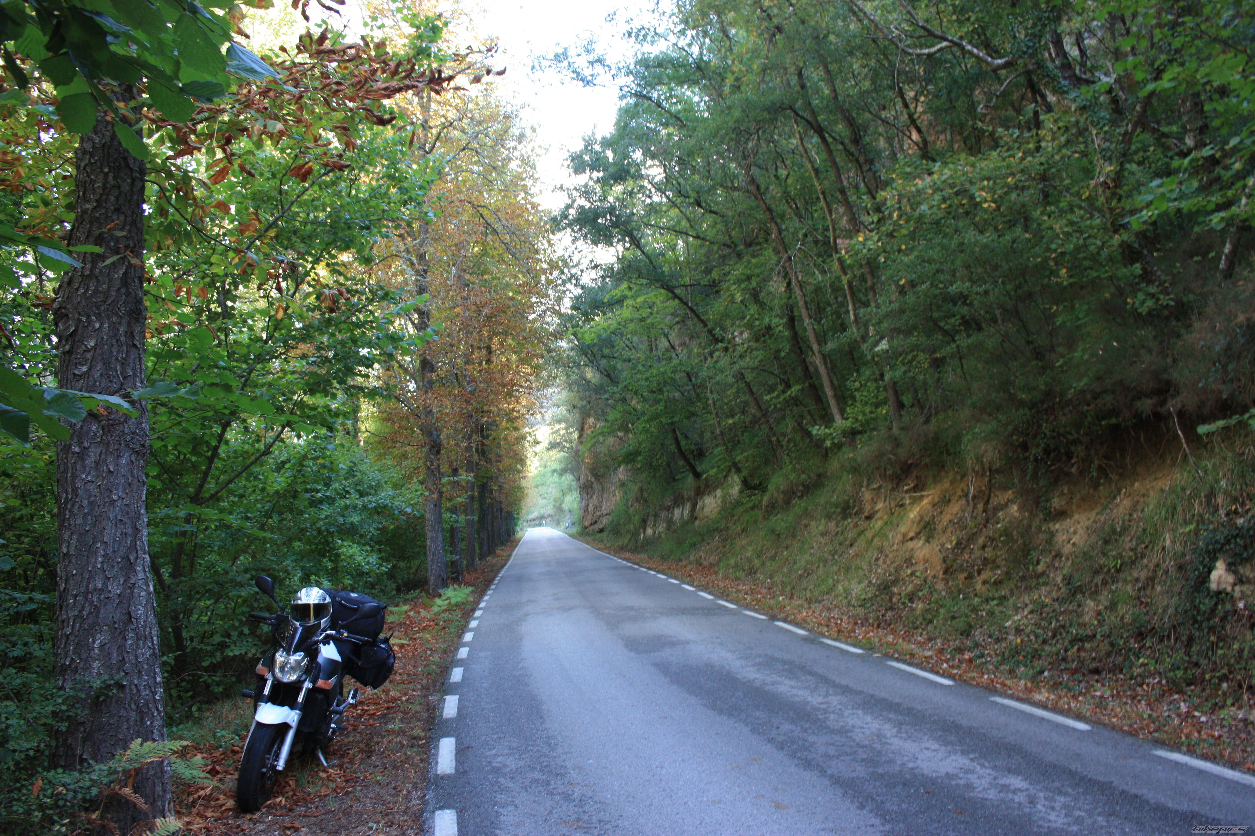 Photo 2263754