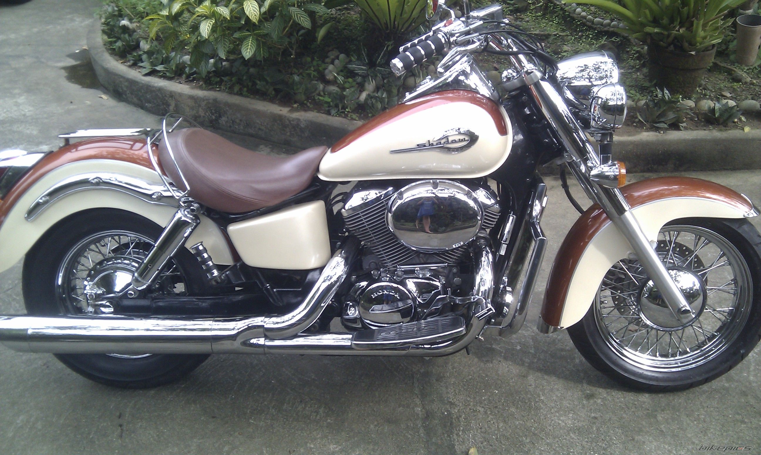 Photo 2263832