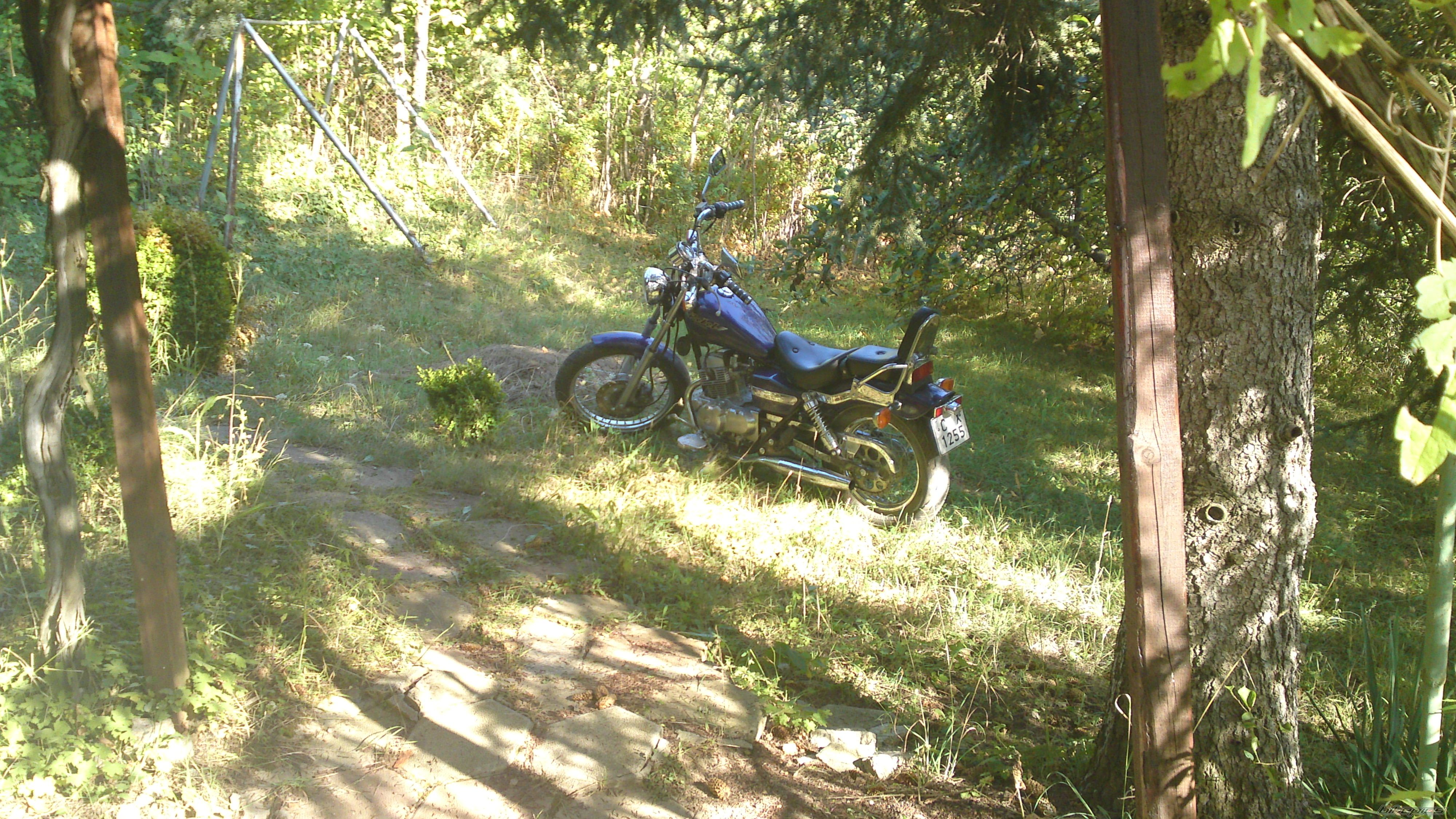 Photo 2263890
