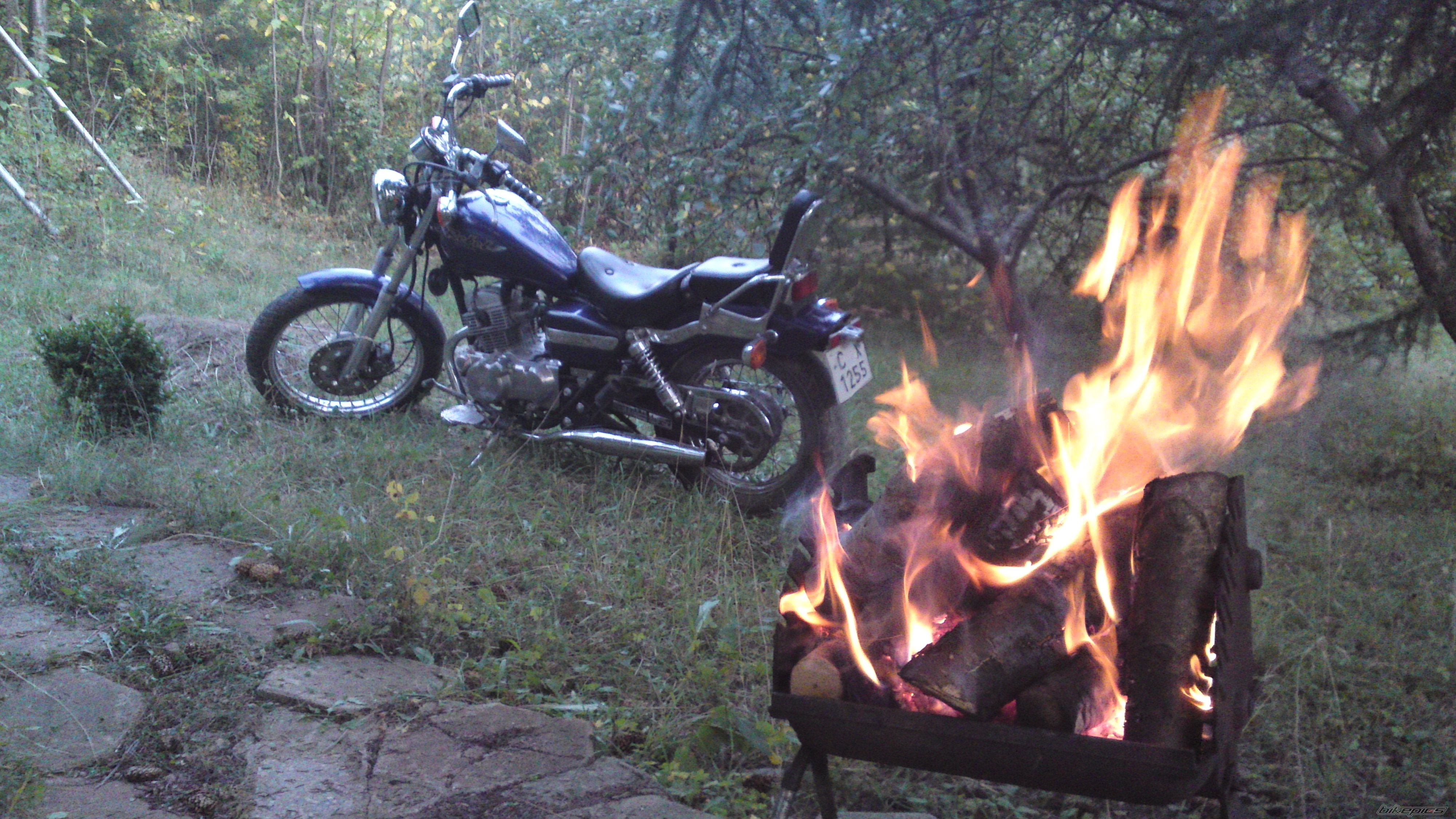 Photo 2263893