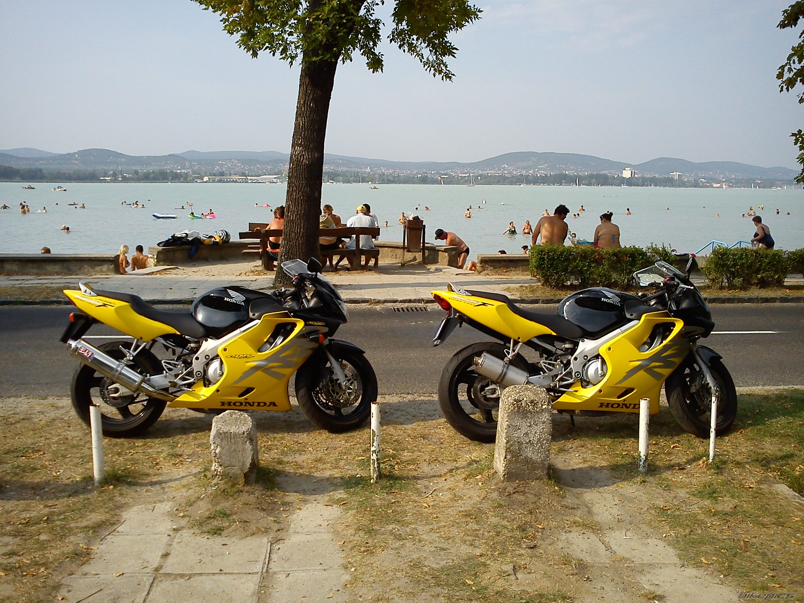 Photo 2263977