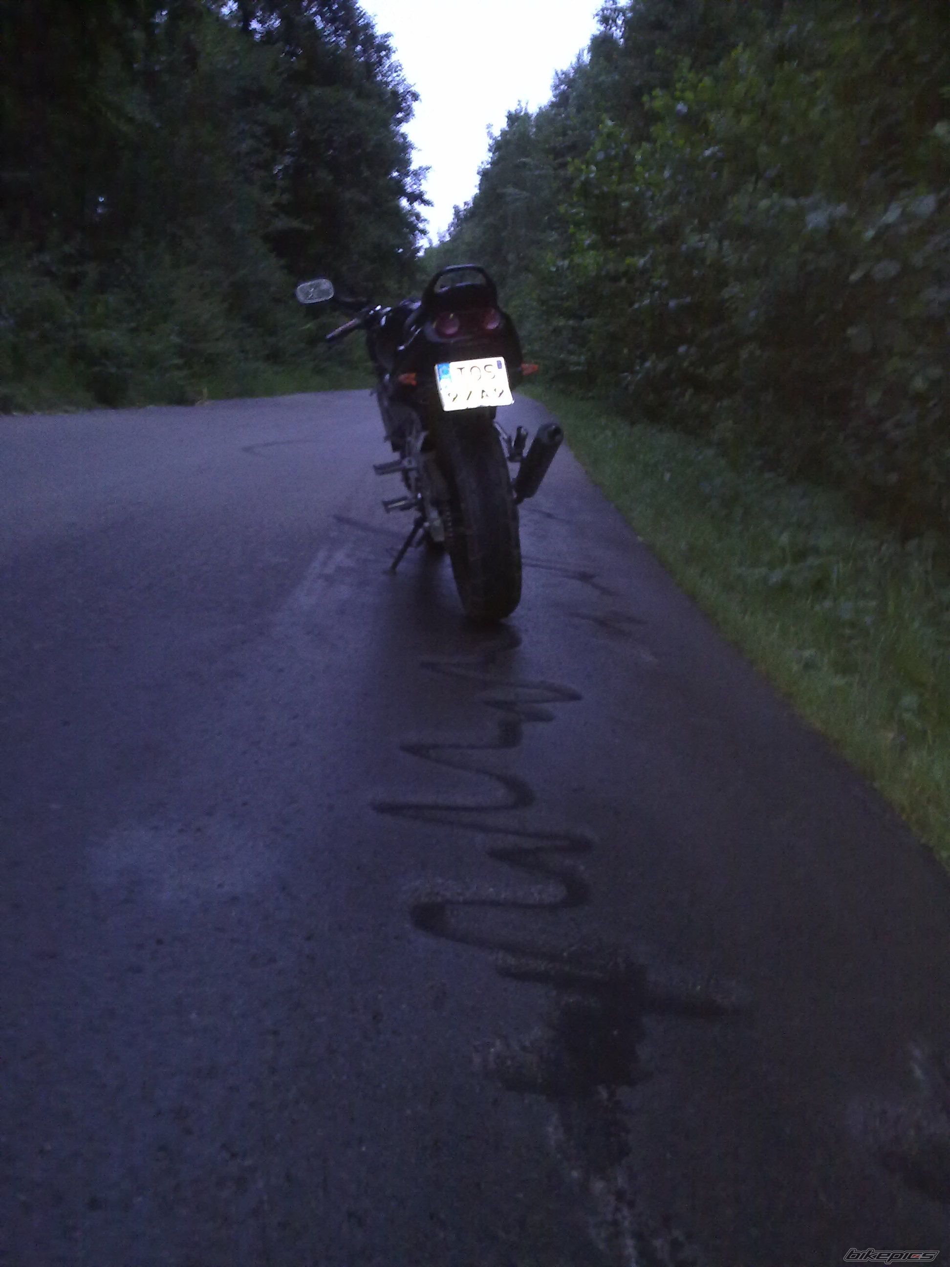 Photo 2263984
