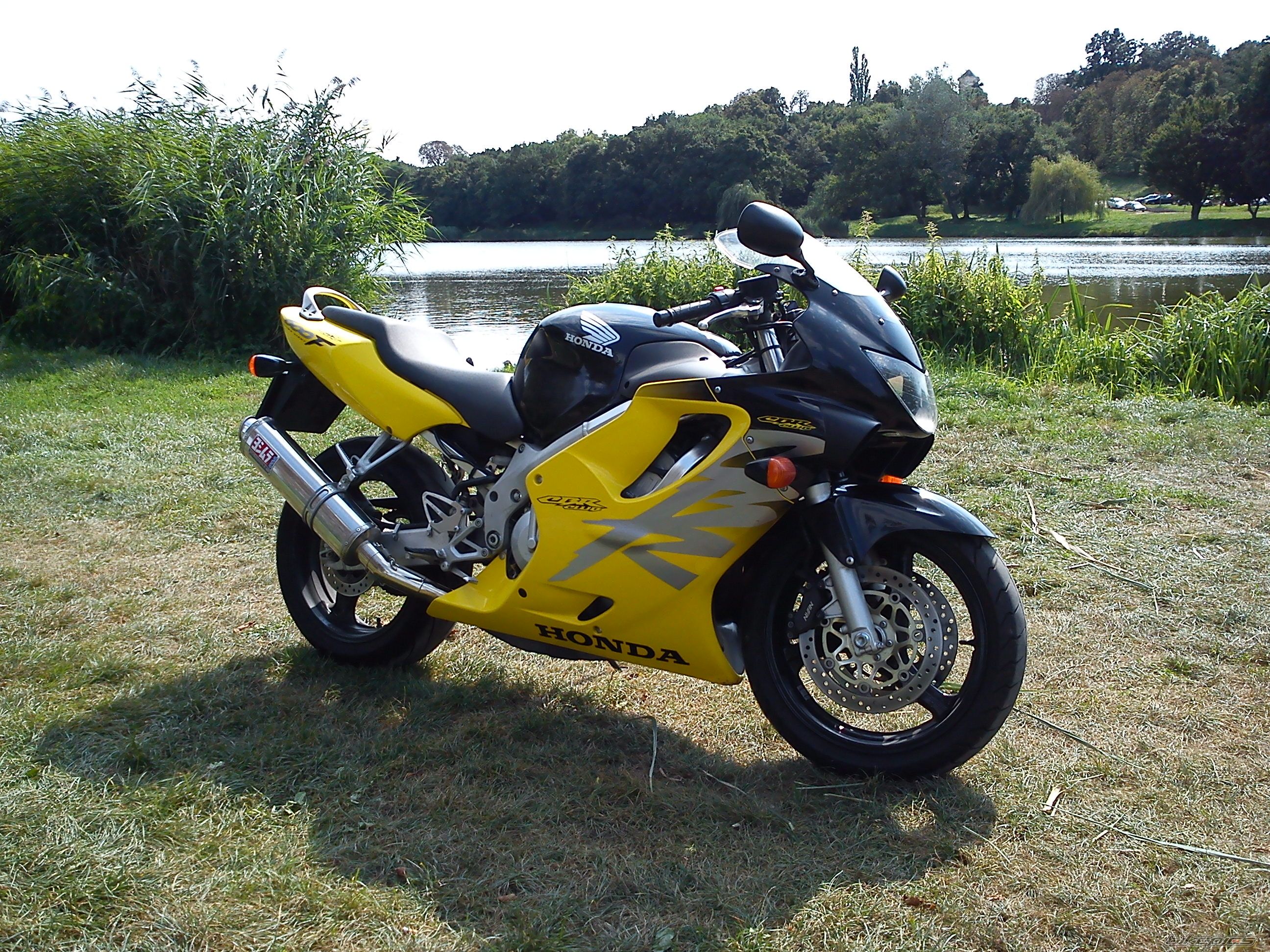 Photo 2263986