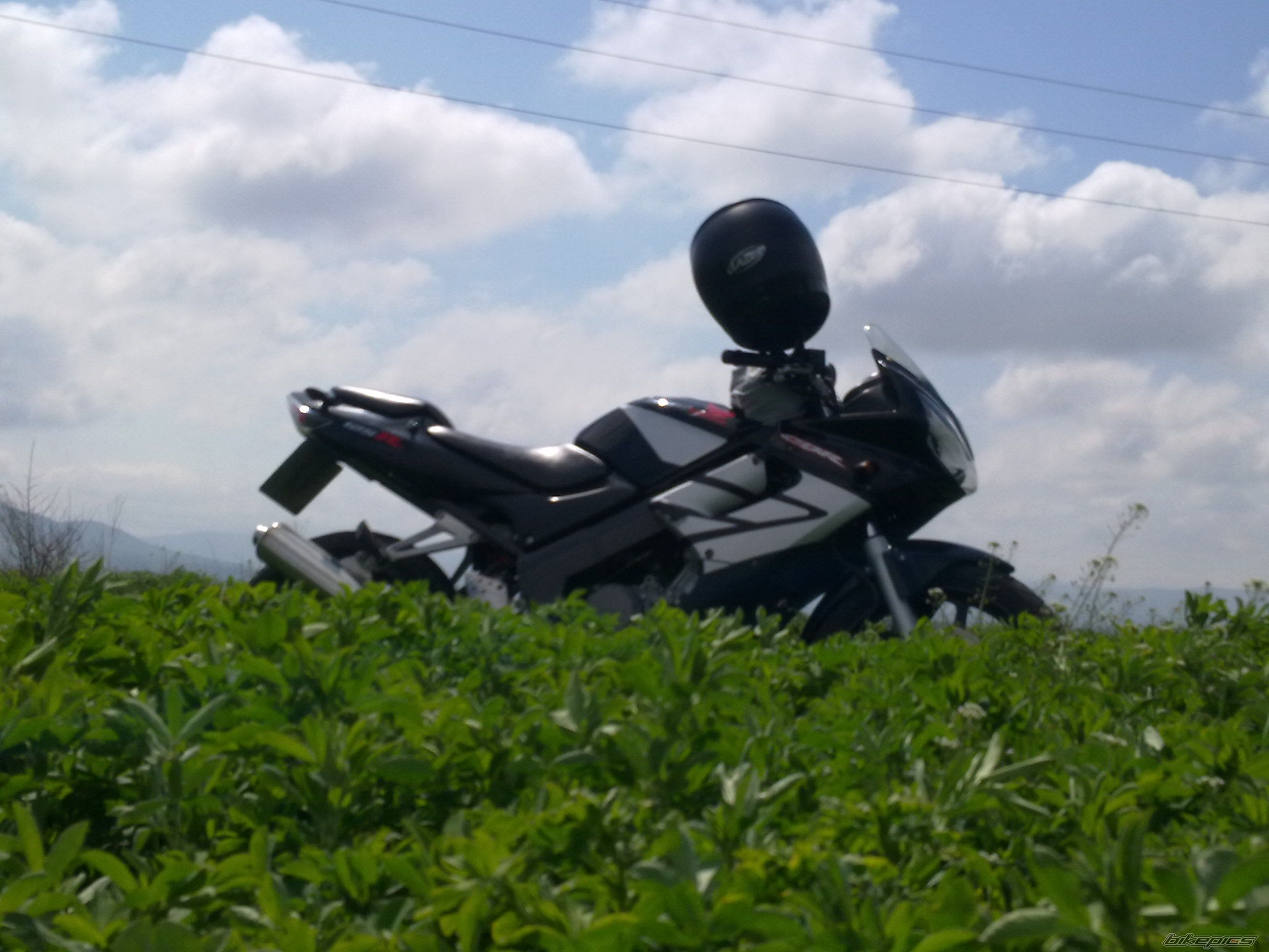 Photo 2264005