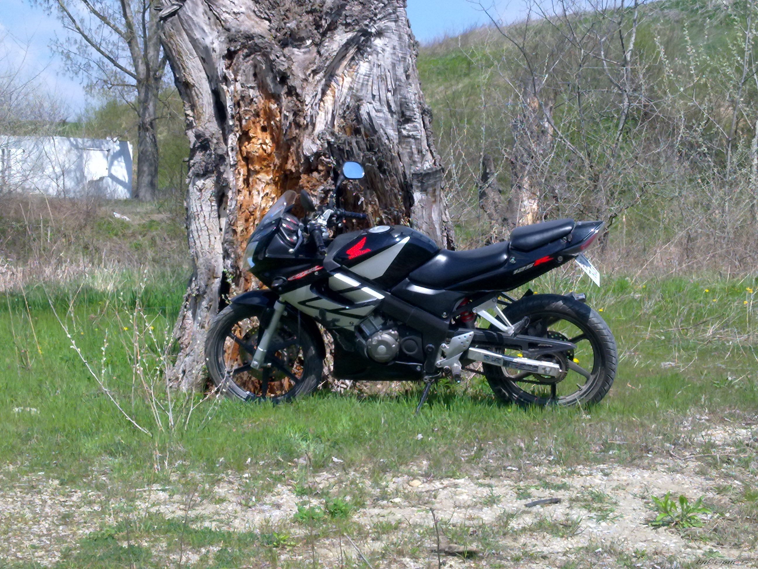 Photo 2264007