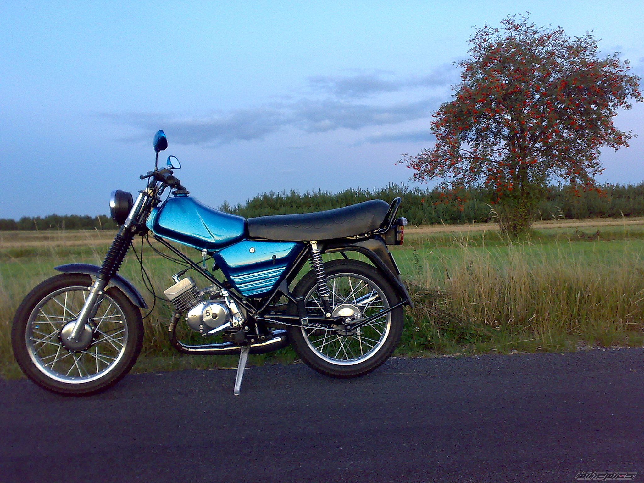 Photo 2264020