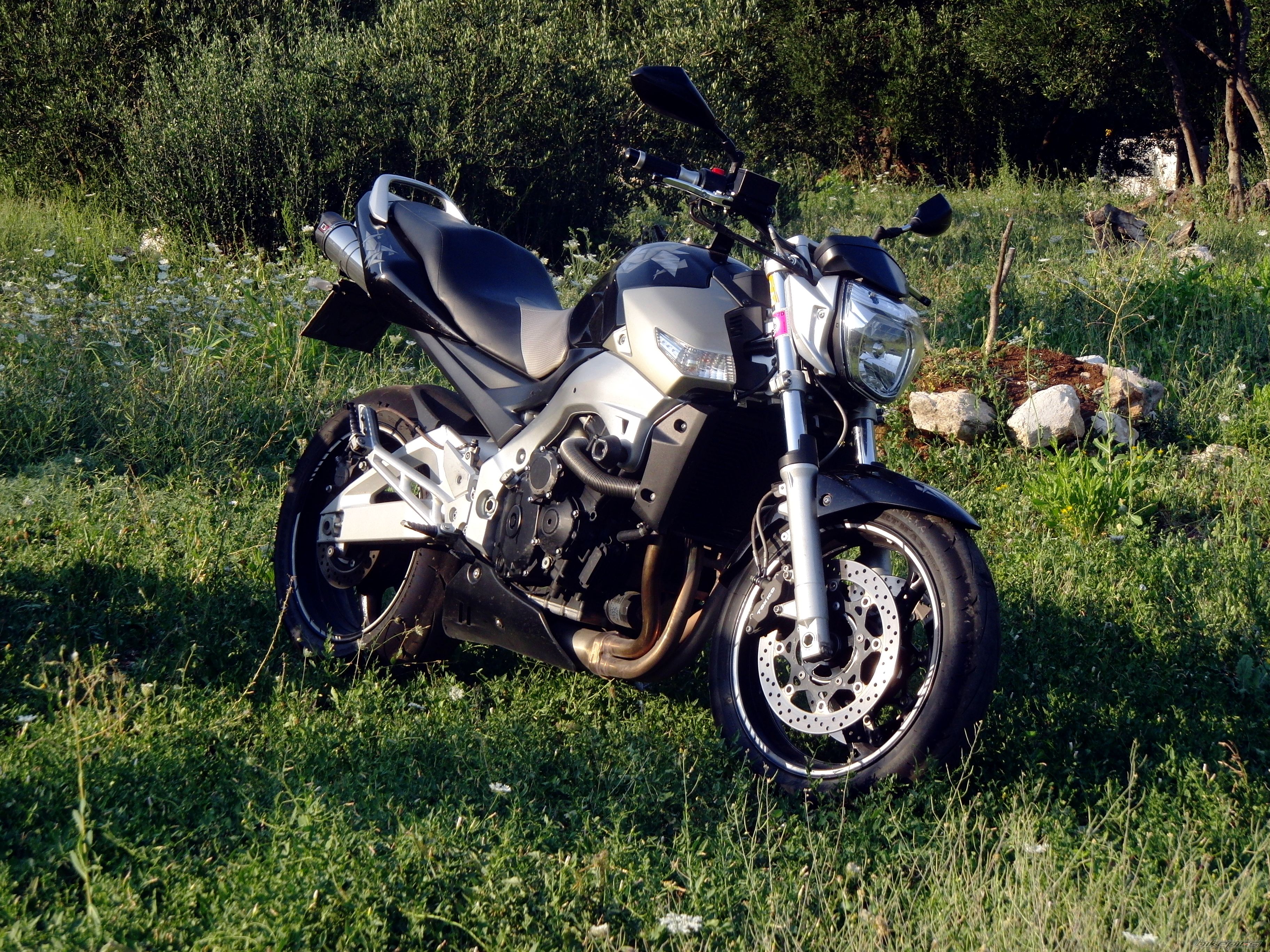 Photo 2264055