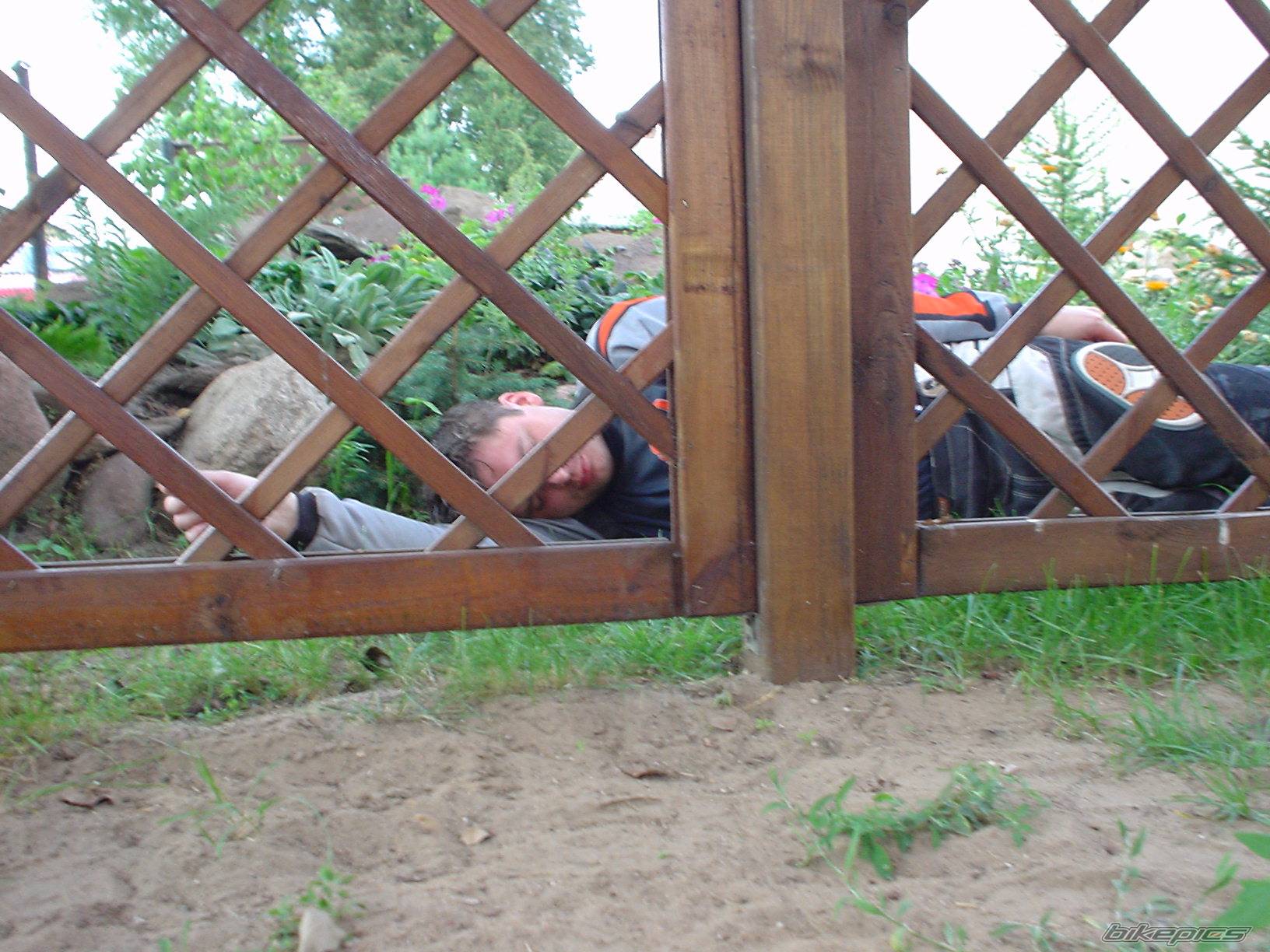 Photo 226412