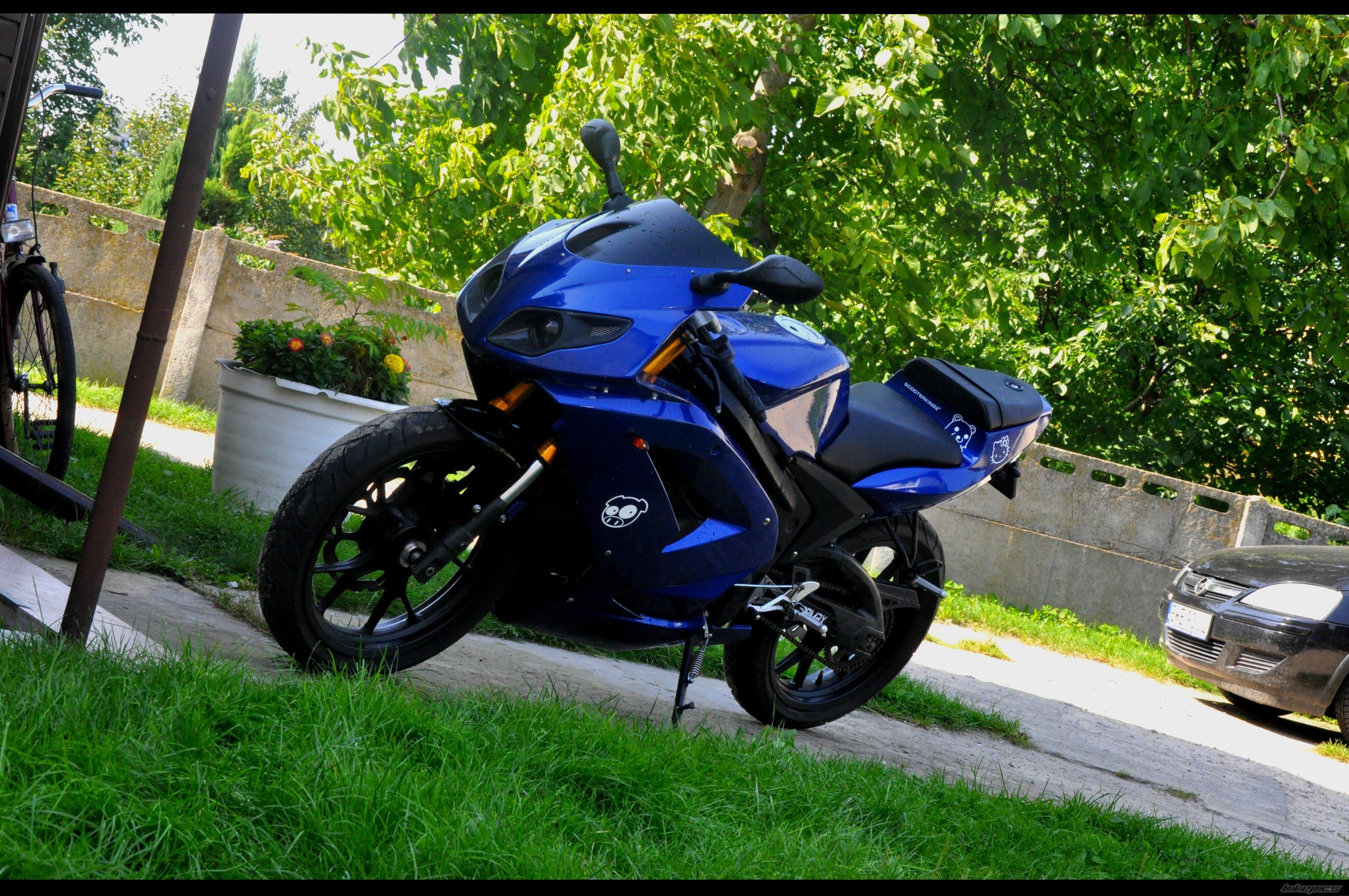 Photo 2264221