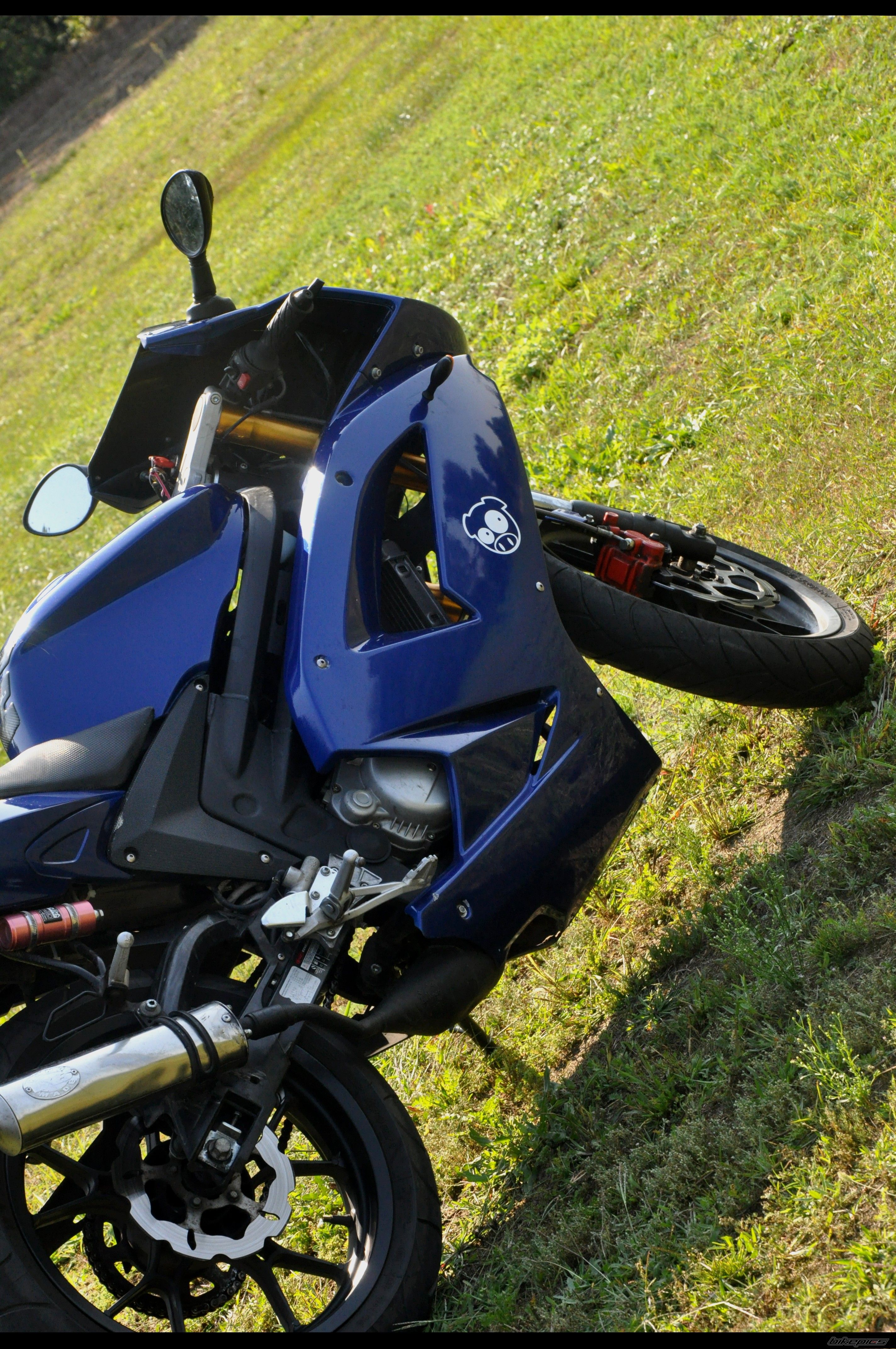 Photo 2264249