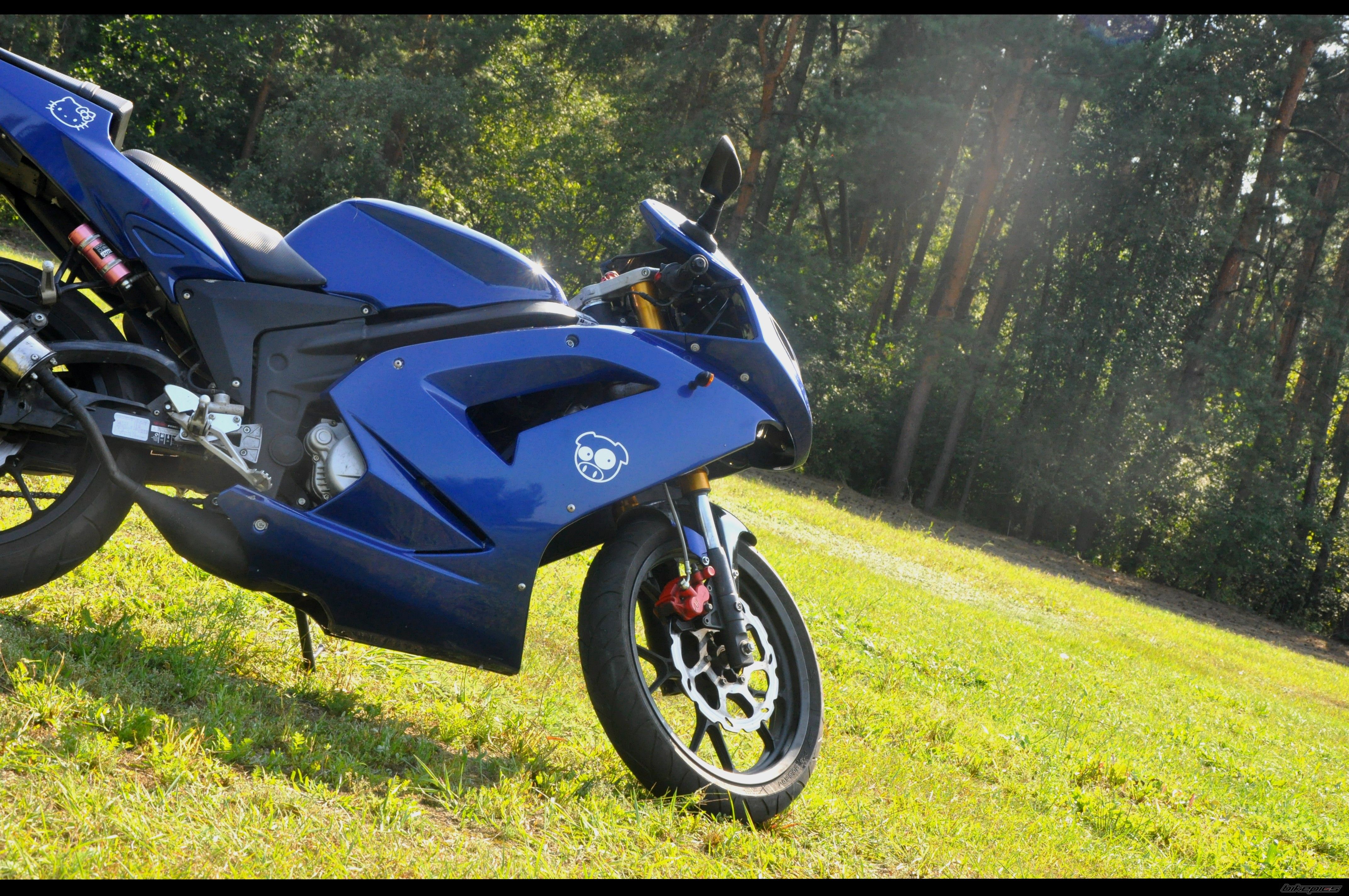 Photo 2264252