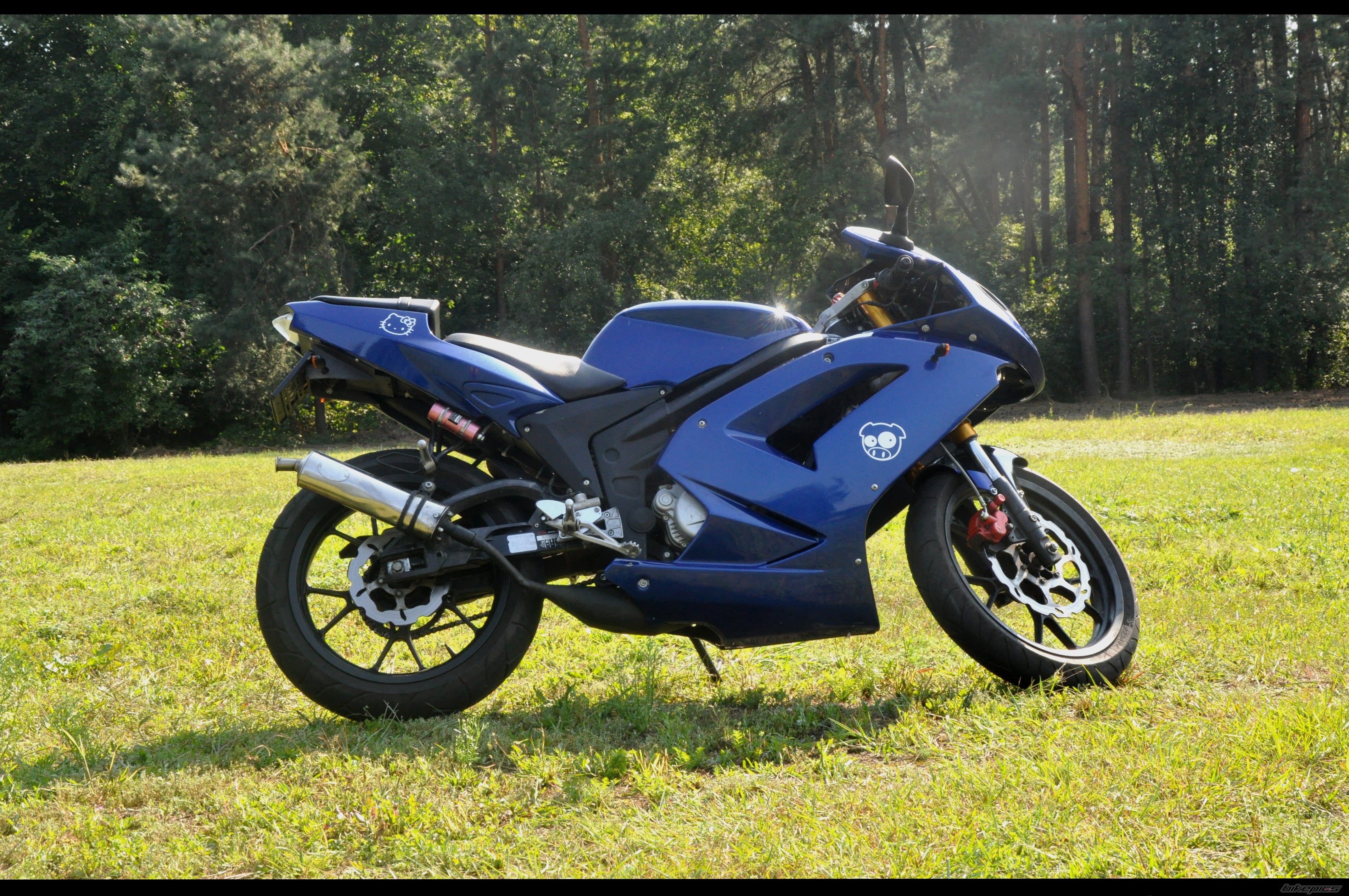 Photo 2264254