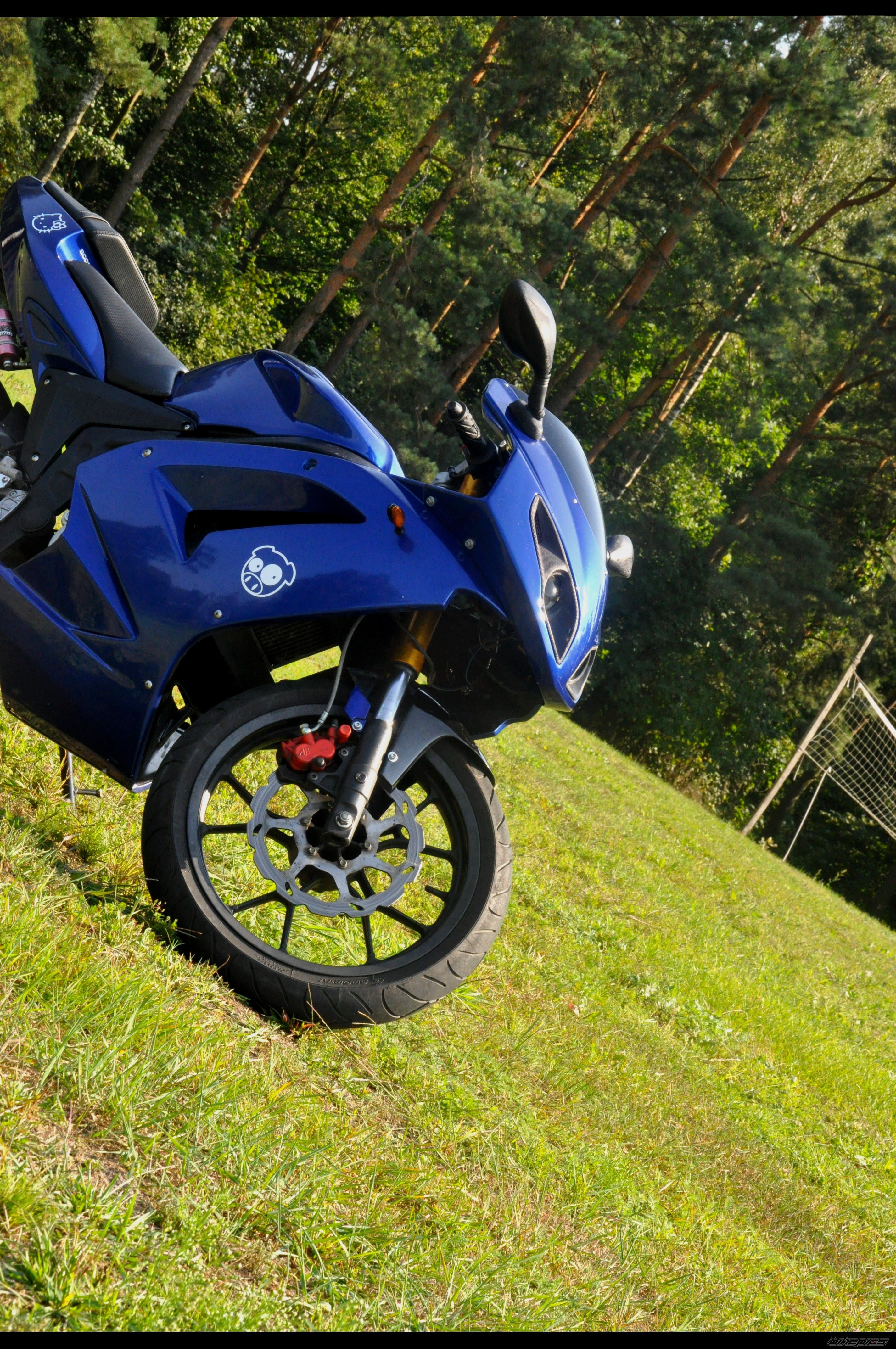 Photo 2264260