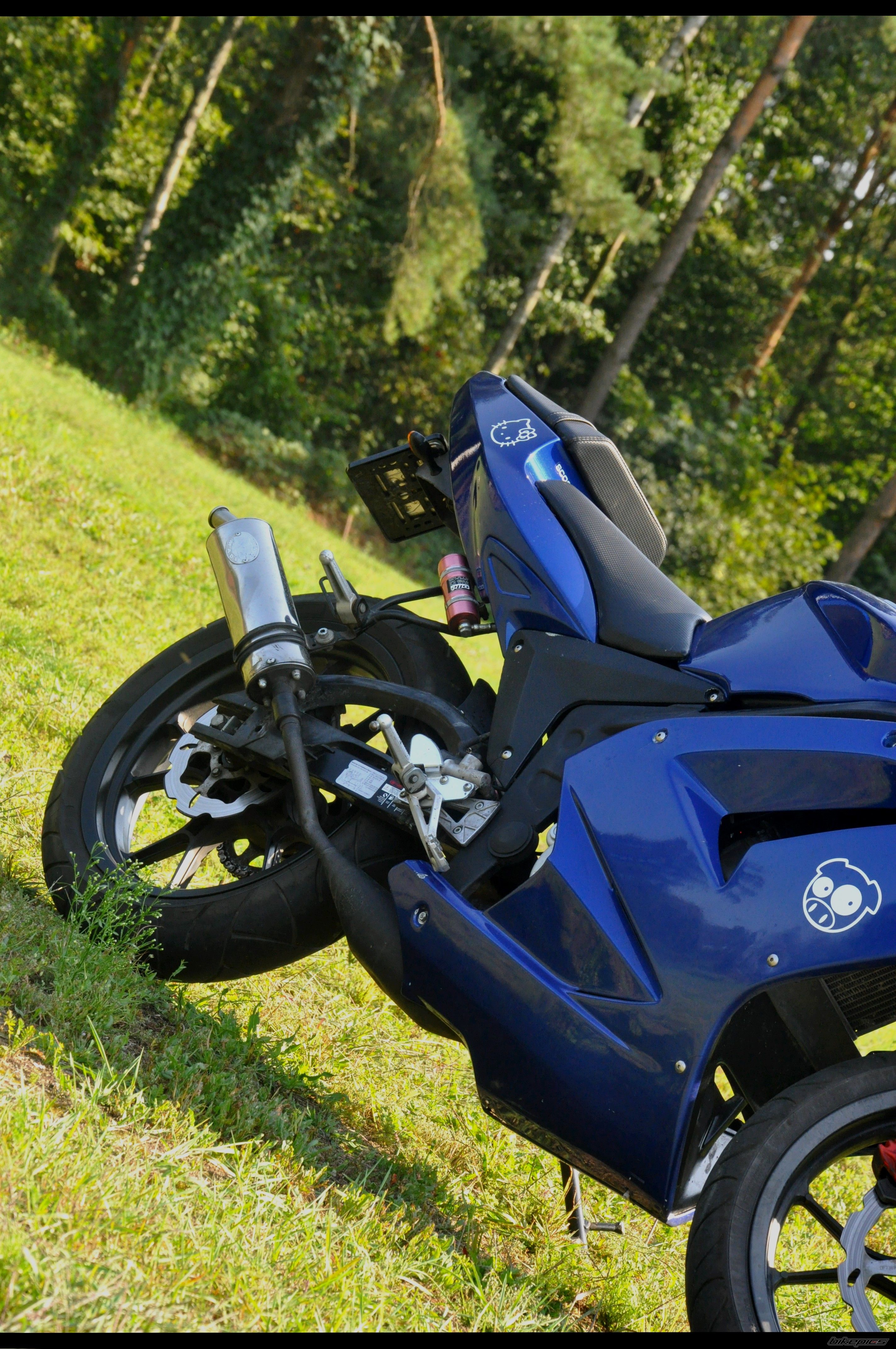 Photo 2264262
