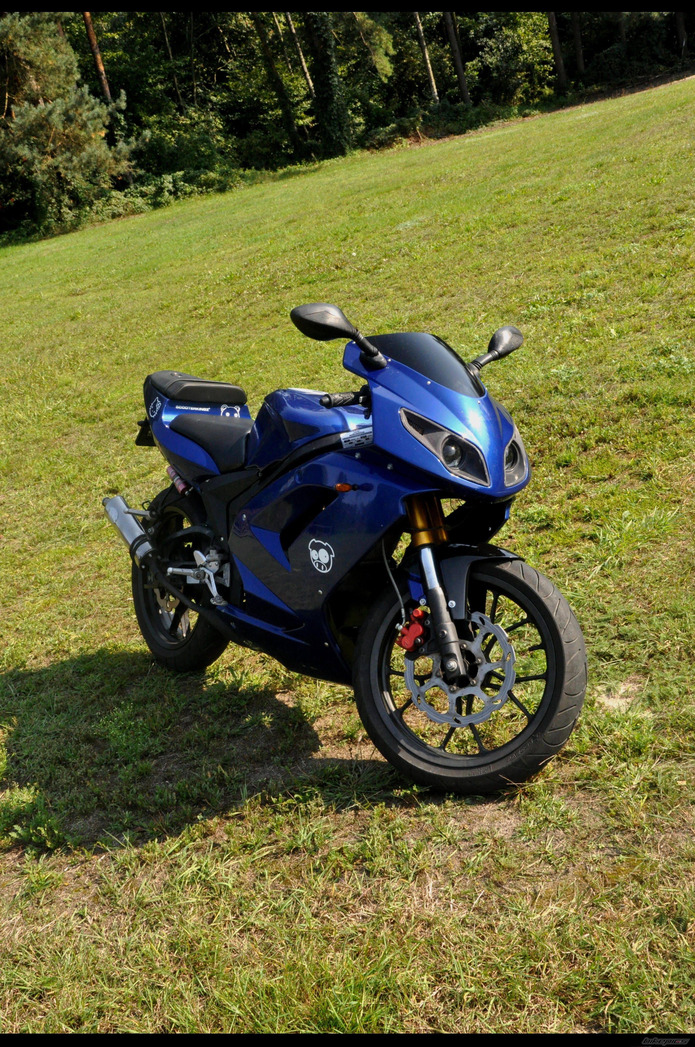 Photo 2264271