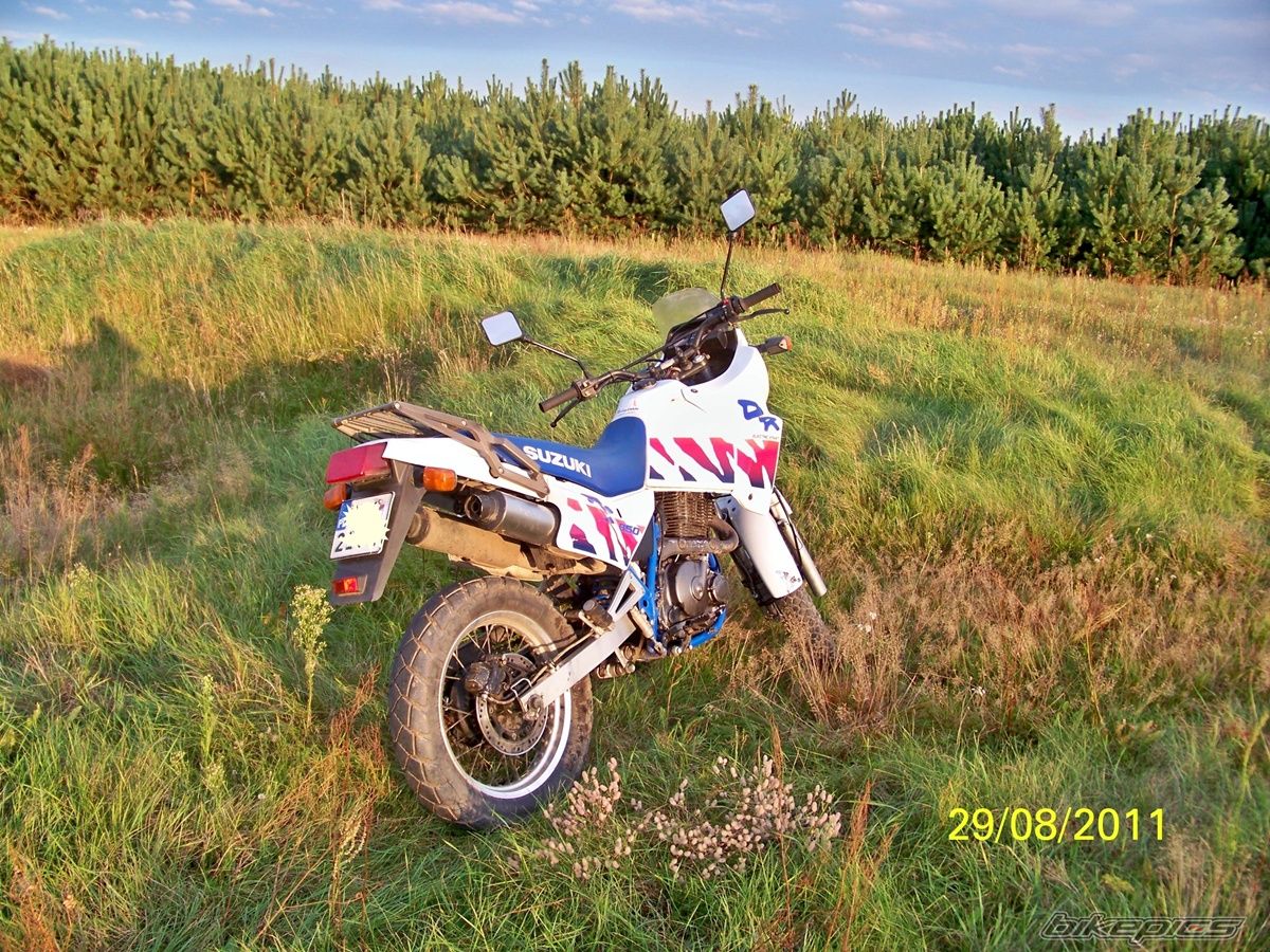 Photo 2264398
