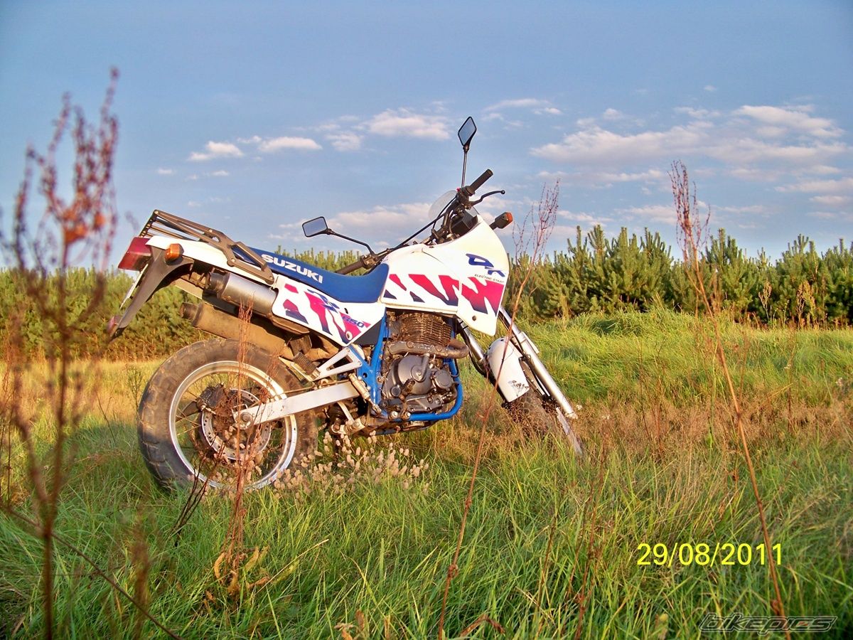 Photo 2264401