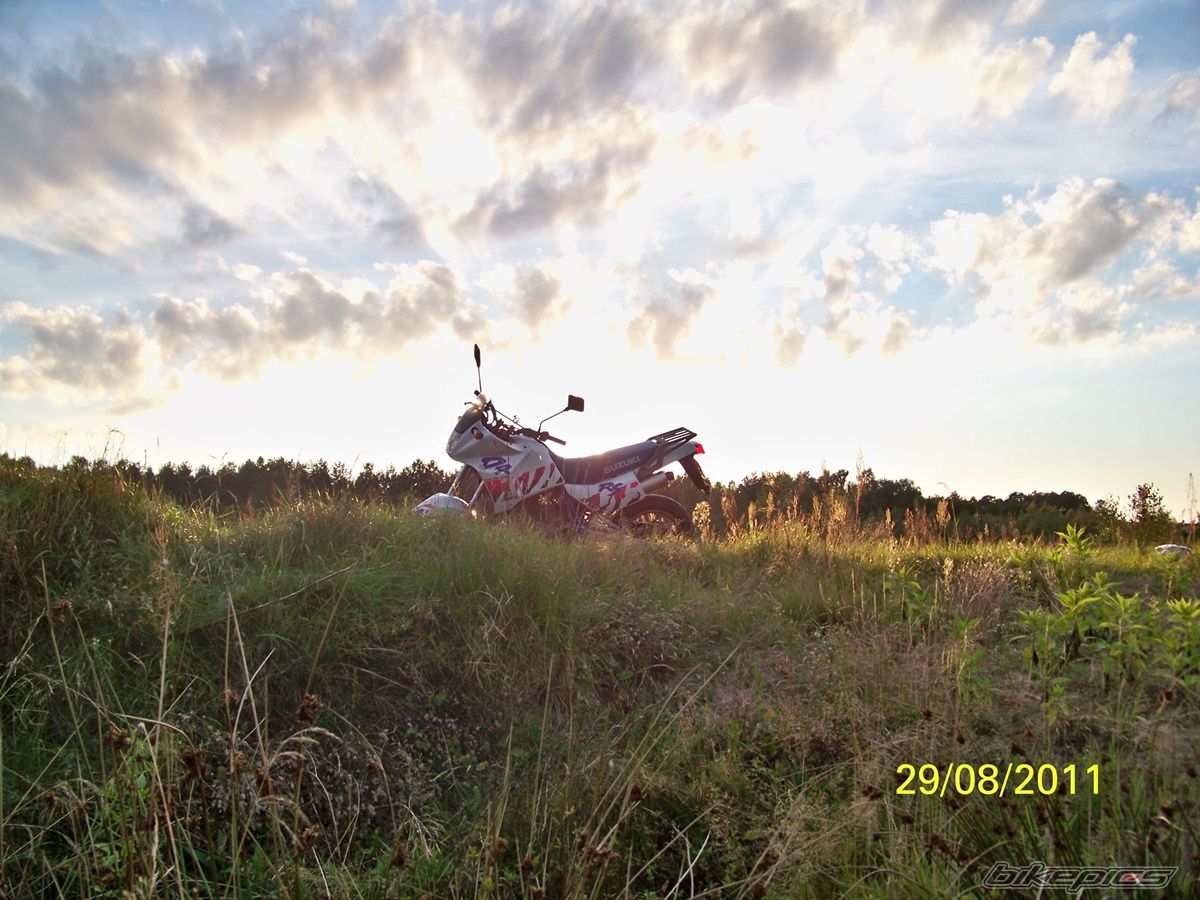 Photo 2264407